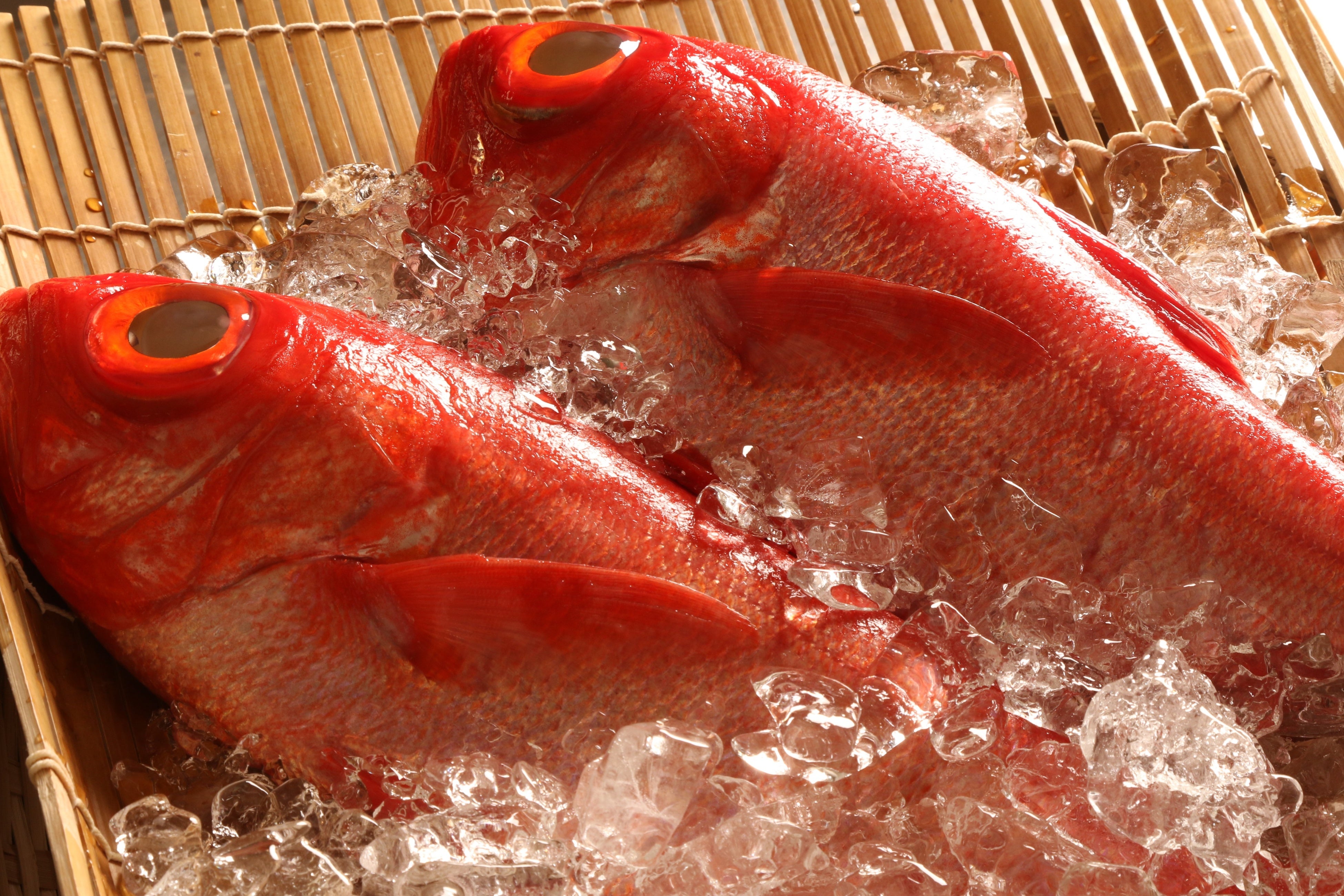 生はもちろん、煮ても、焼いても、揚げても美味な金目鯛