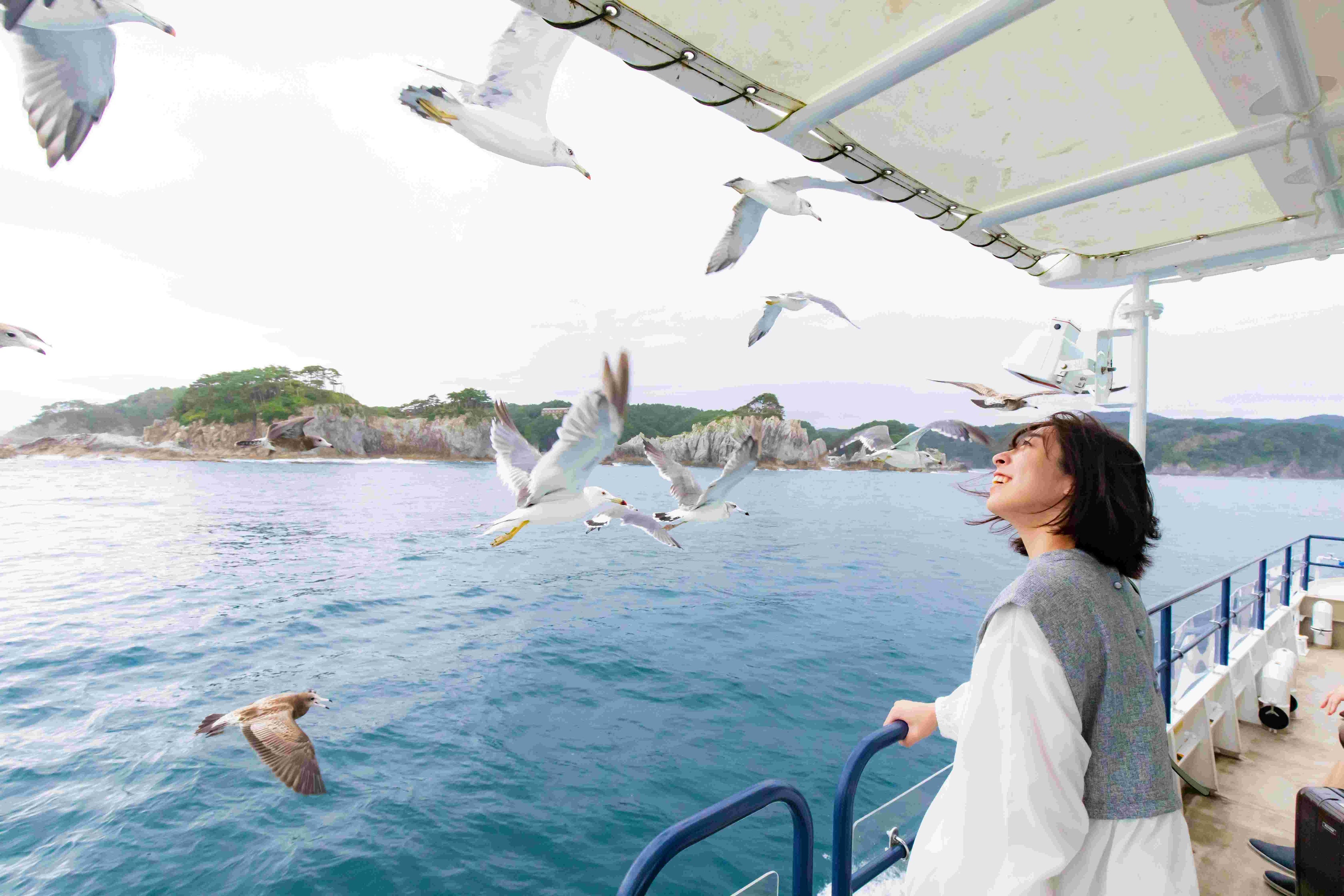 ウミネコに囲まれて走る「宮古うみねこ丸」は7月１７日で１周年を迎えます