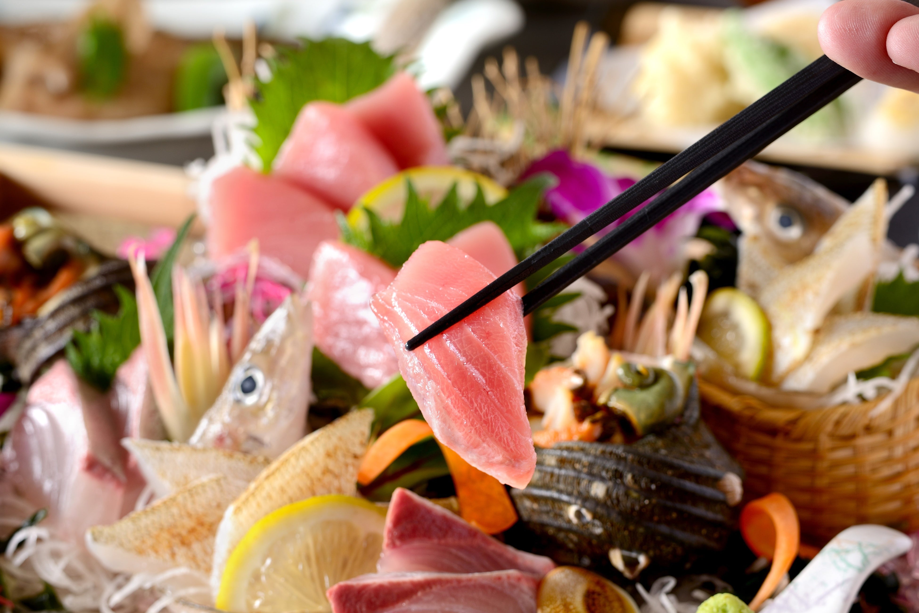 だてまぐろのお造り