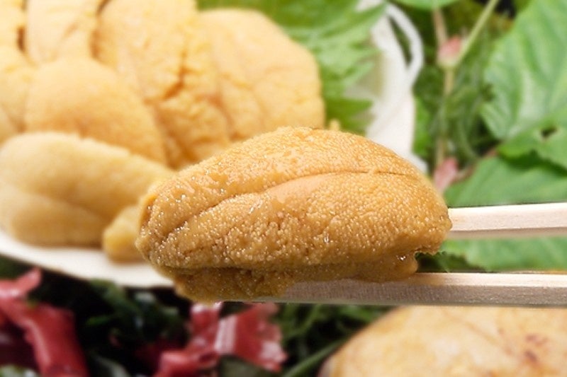 三陸産のウニは大きな身と深い甘み、豊かな磯の風味が特徴