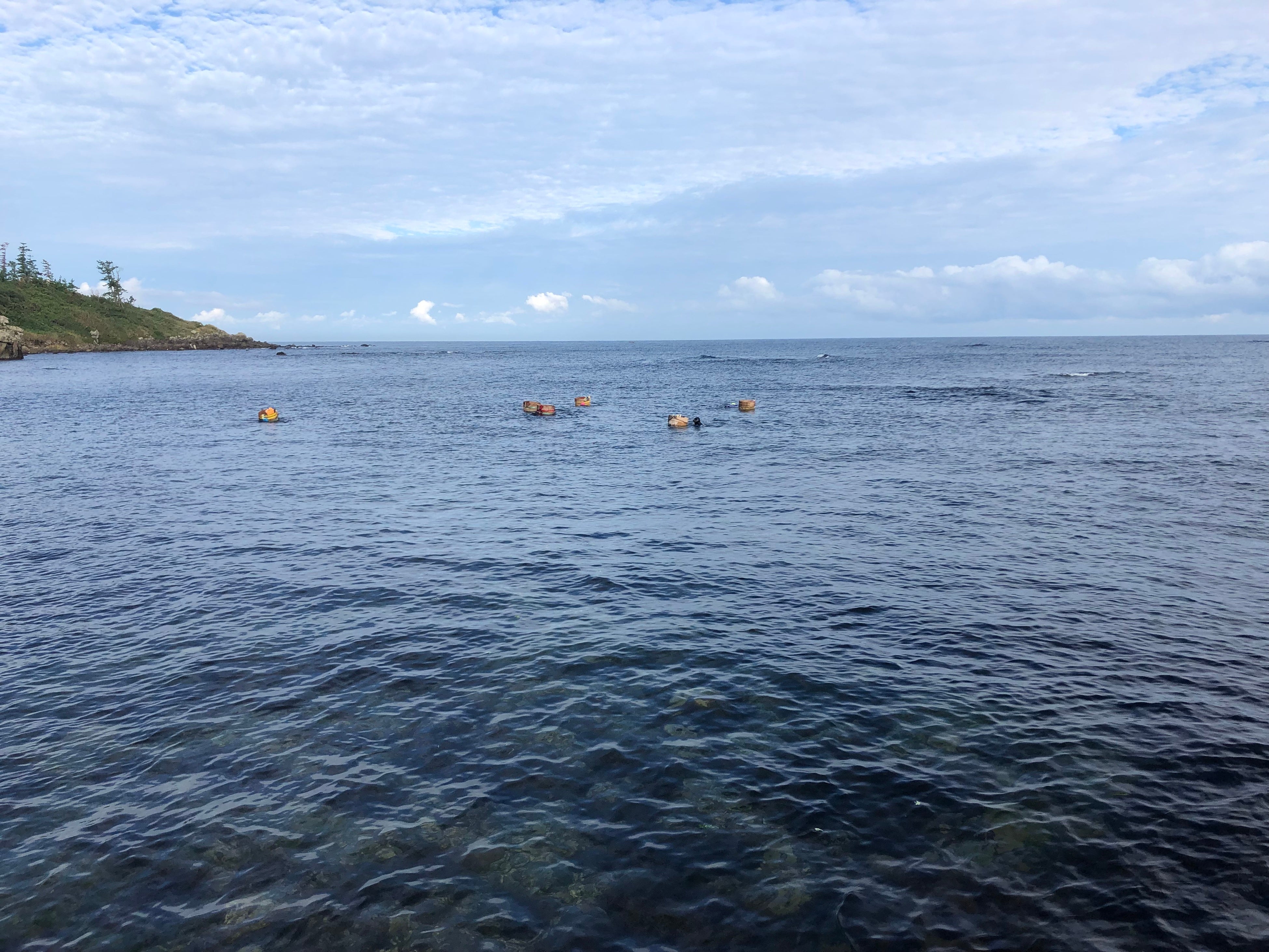 福井県無形民俗文化財にも指定される「雄島海女の素潜り漁」