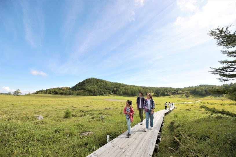 高山植物の宝庫「池の平湿原」を散策
