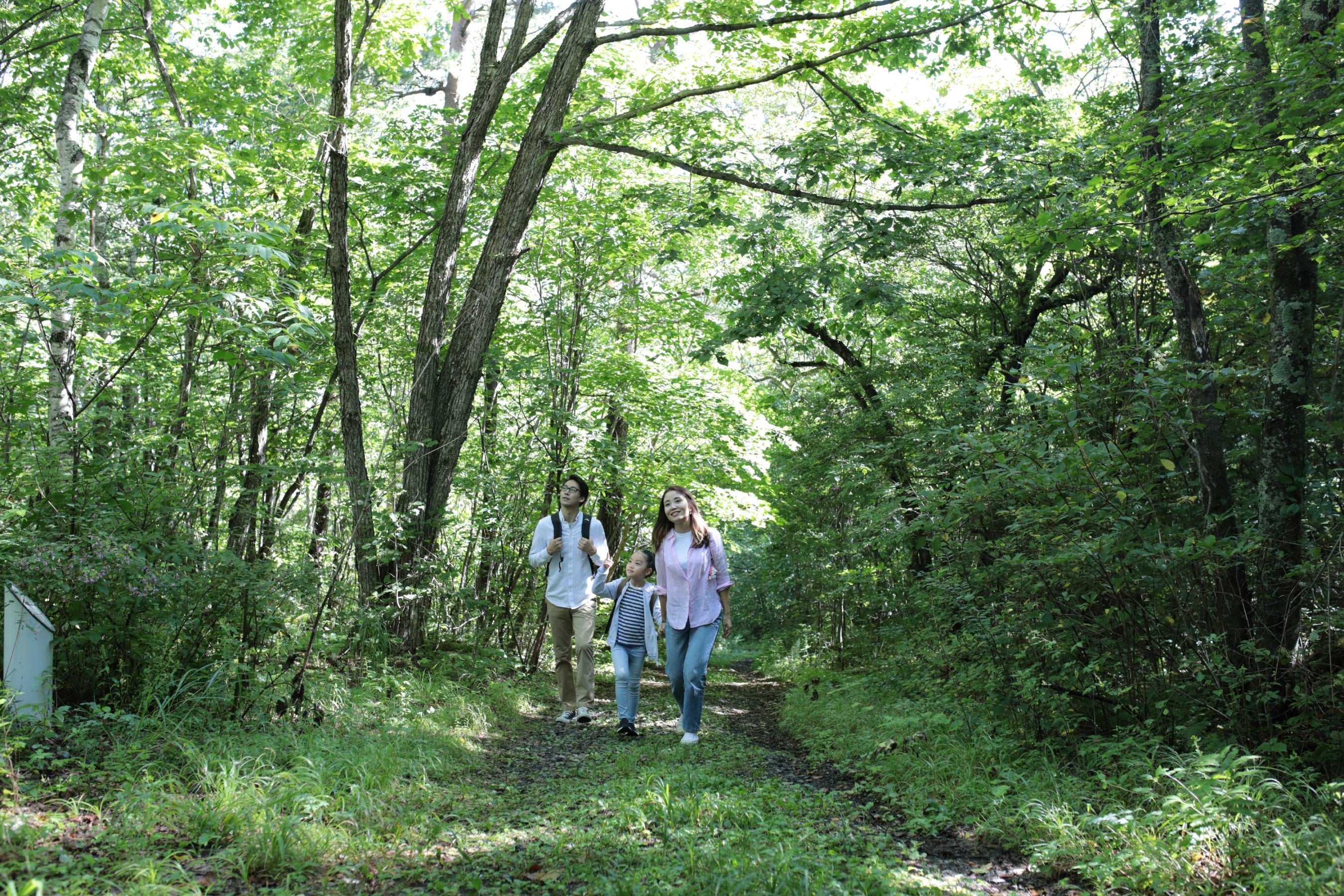 鹿沢園地には遊歩道が２コース