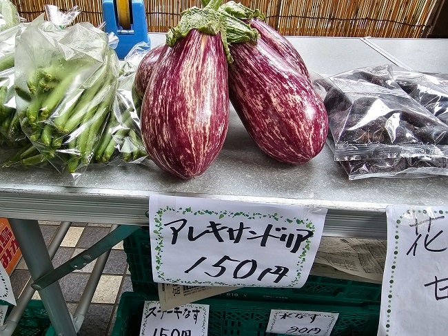 アレキサンドリア