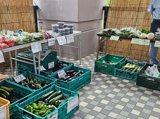 ずらりと並ぶ野菜たち