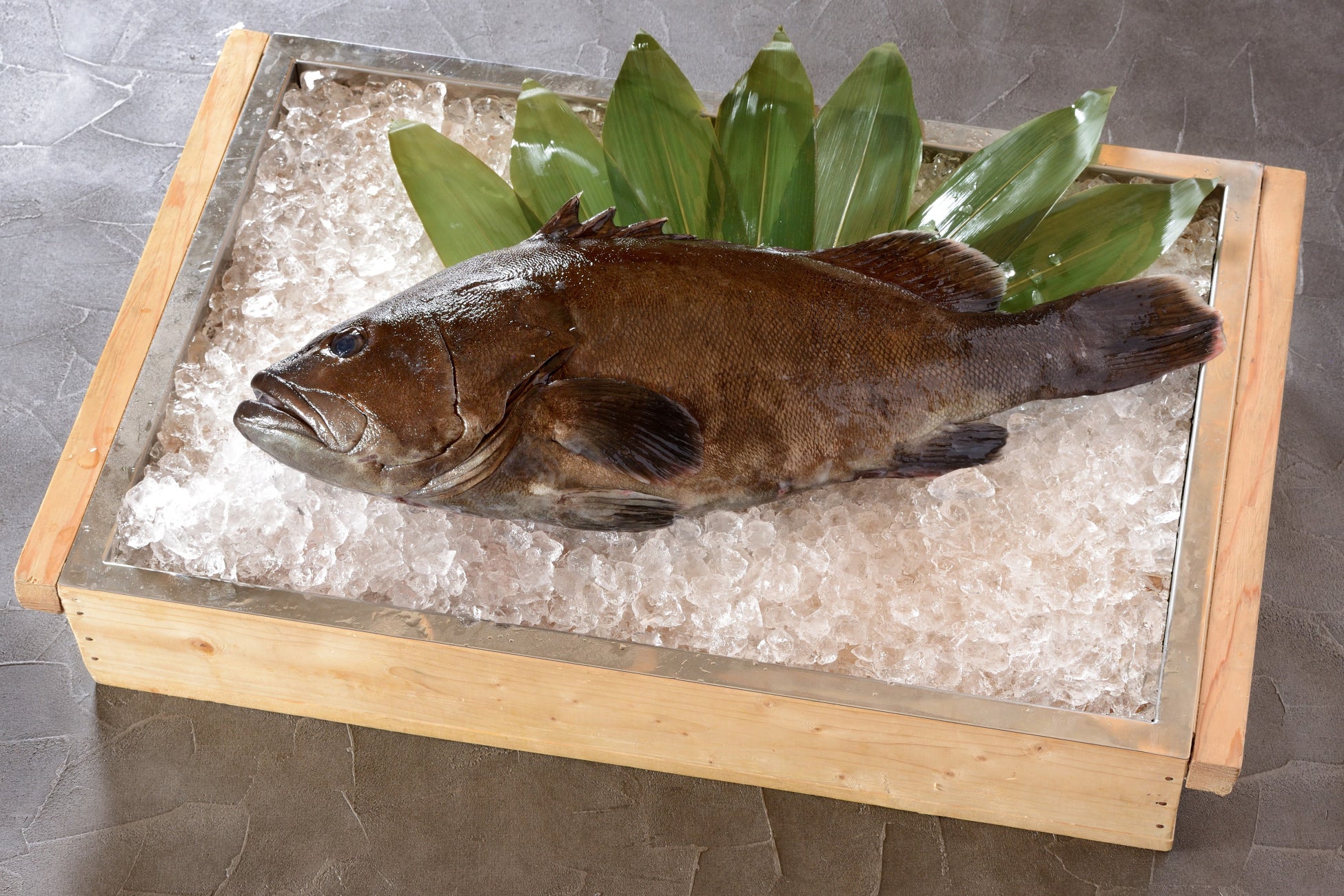 愛媛県の愛育フィッシュ「媛スマ」や「だてまぐろ」、瀬戸内海の幻の高級魚「羽太(はた)」 休暇村瀬戸内東予では、愛媛の味覚を存分に味わえる「愛 ...