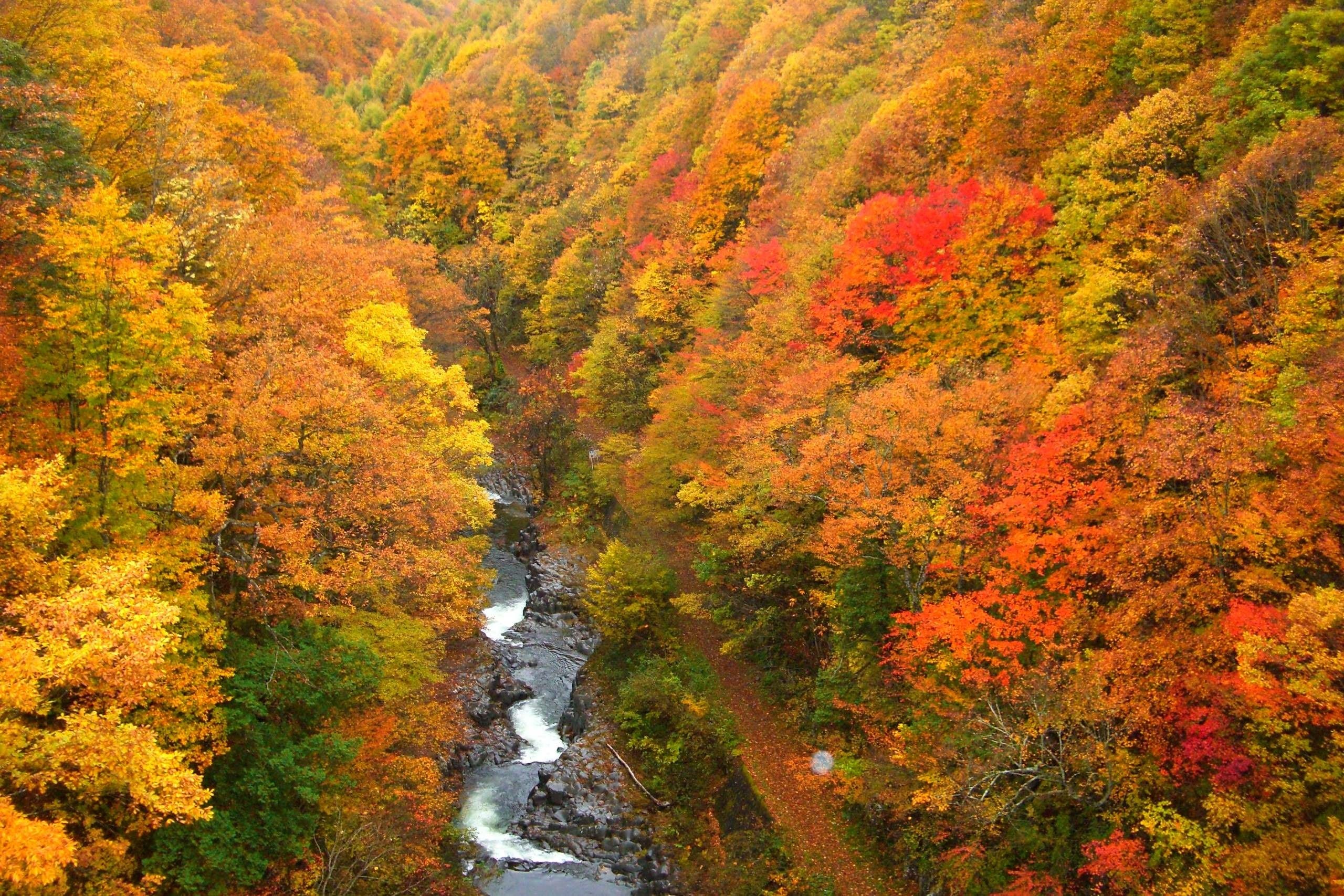 中津川渓谷（なかつがわげいこく）