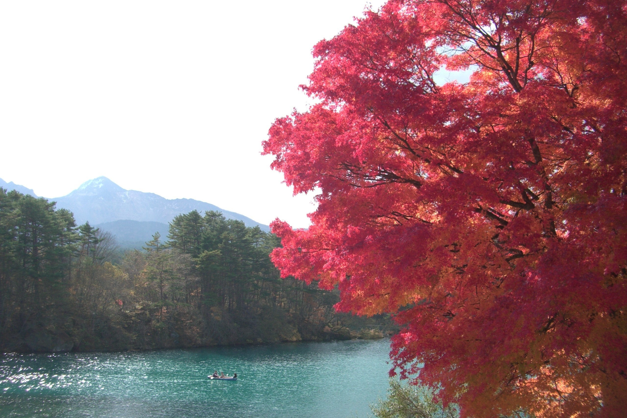 五色沼（ごしきぬま）