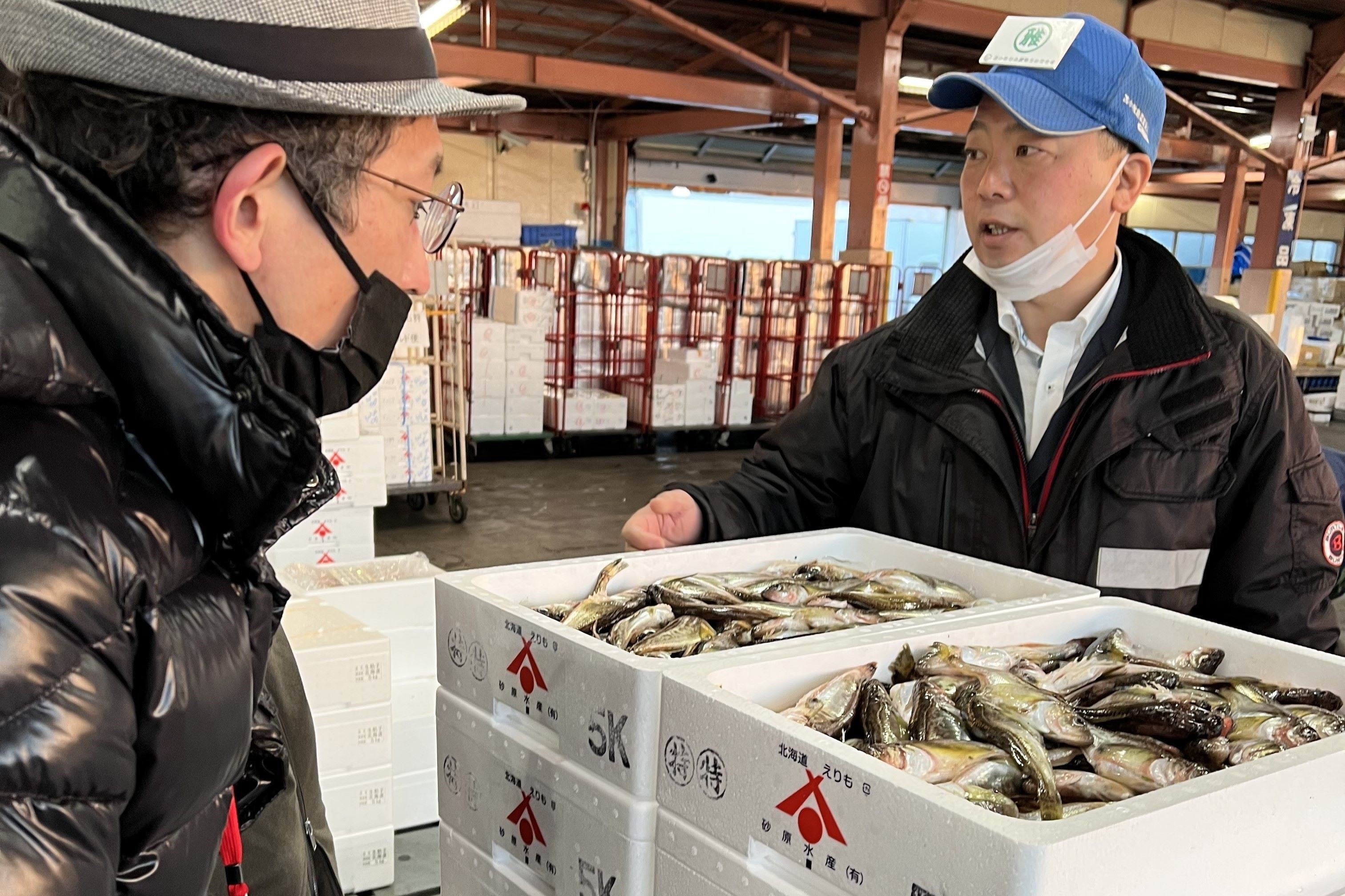 苫小牧漁港では、現地の業者に話を聞きながら使用する海産品を決定しました