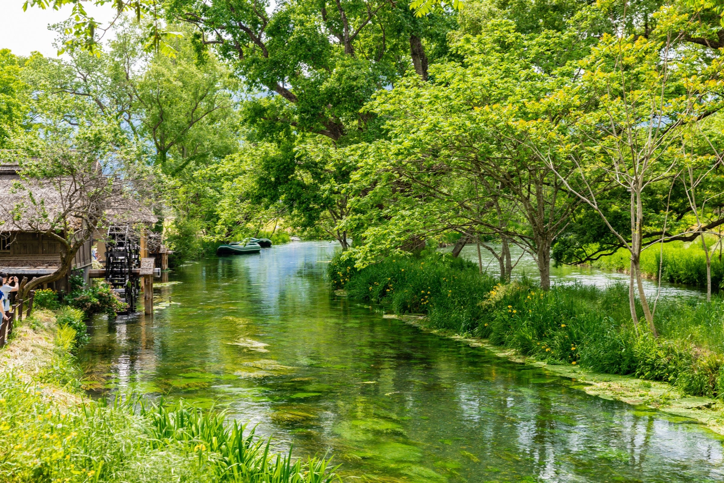 大王わさび農場