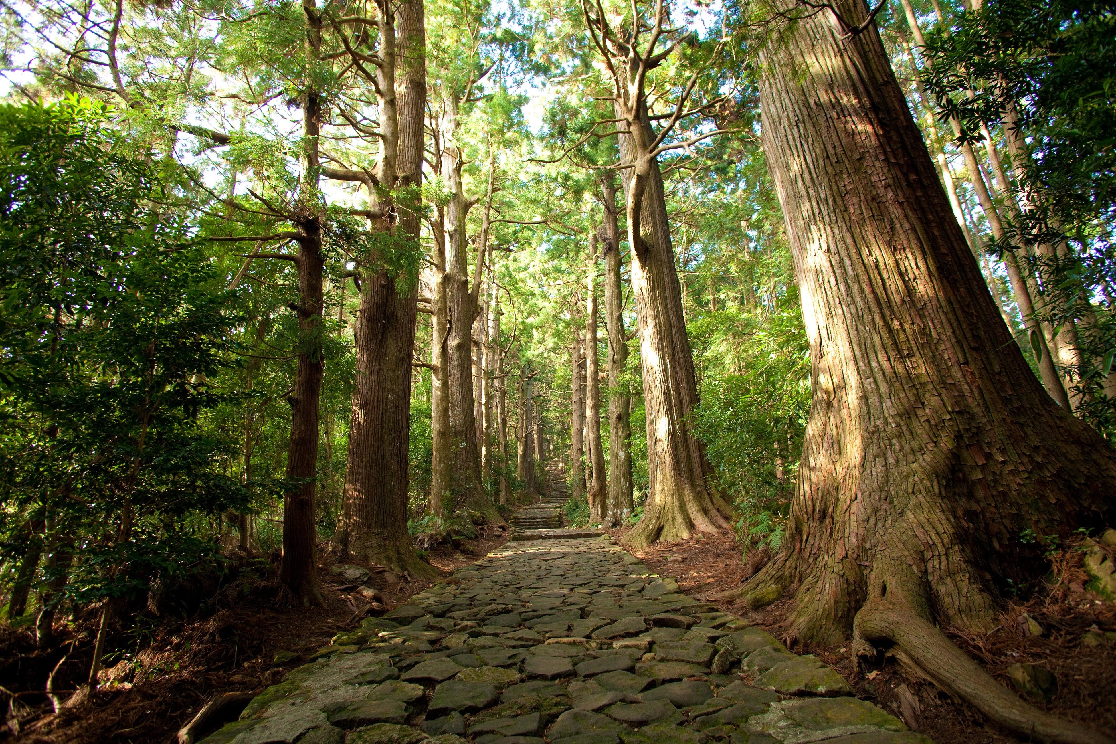 休暇村南紀勝浦、「紀伊山地の霊場と参詣道」世界遺産20周年を