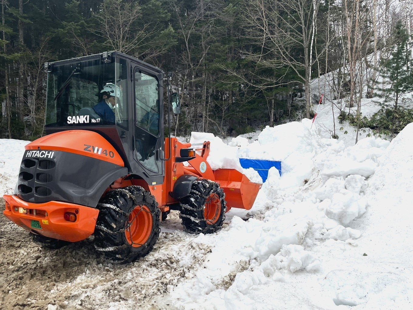 掘り起こしの様子