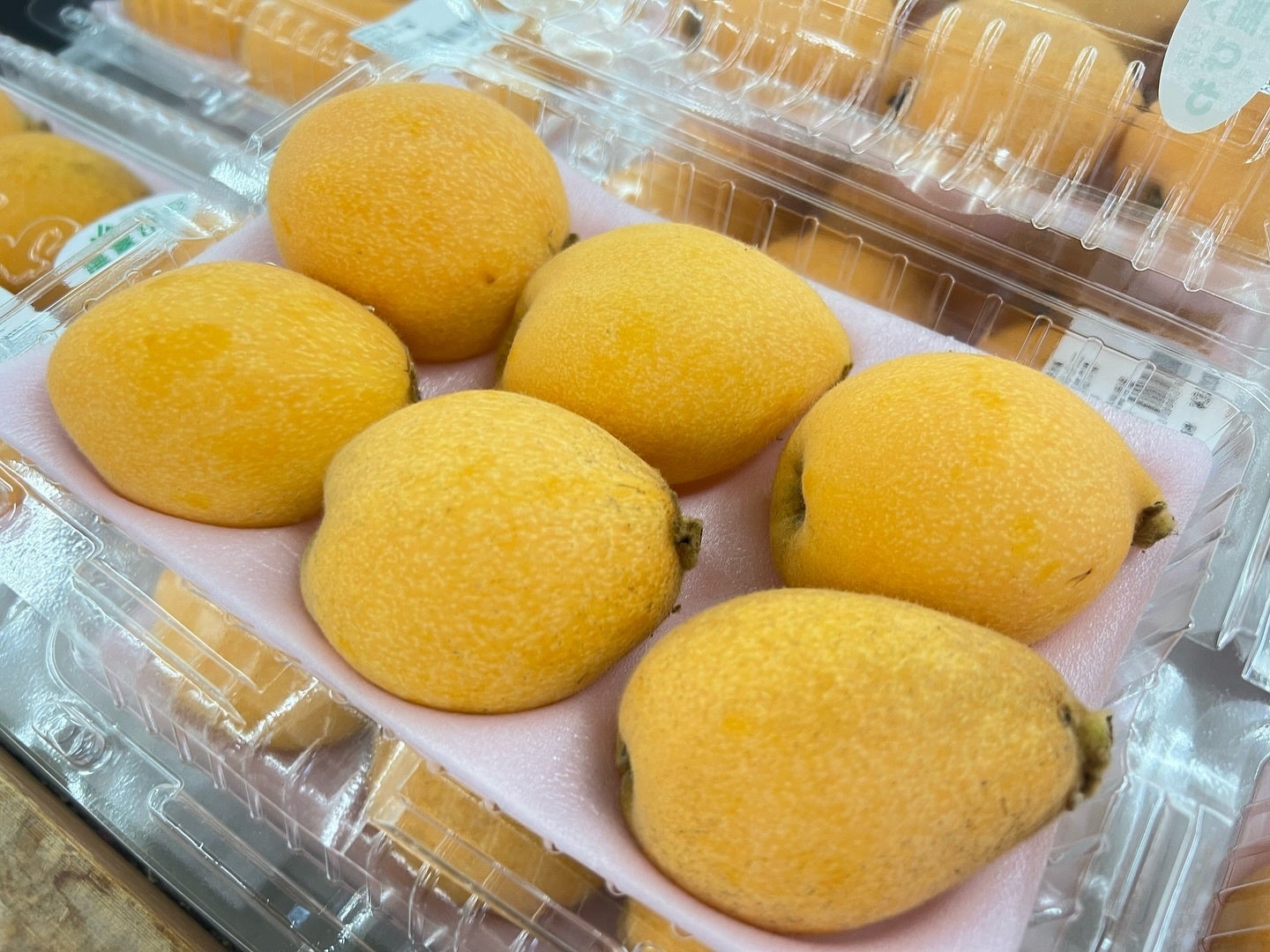 房州びわは、明治４２年以来皇室に献上されています