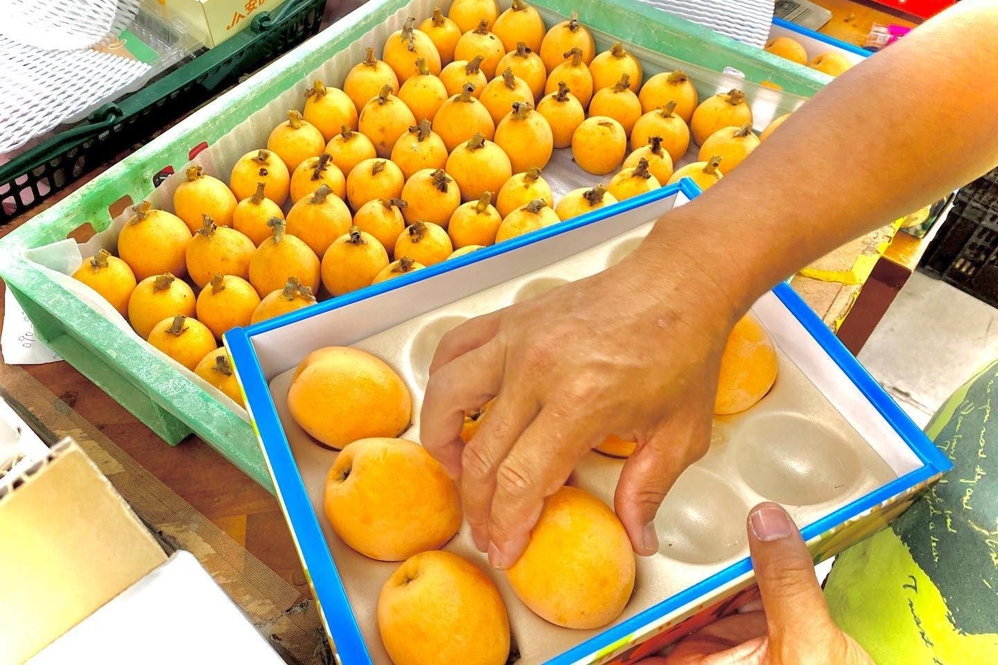 房総びわは、一粒一粒形が美しく、黄橙色に輝き、果汁が豊富で上品な甘みがあります