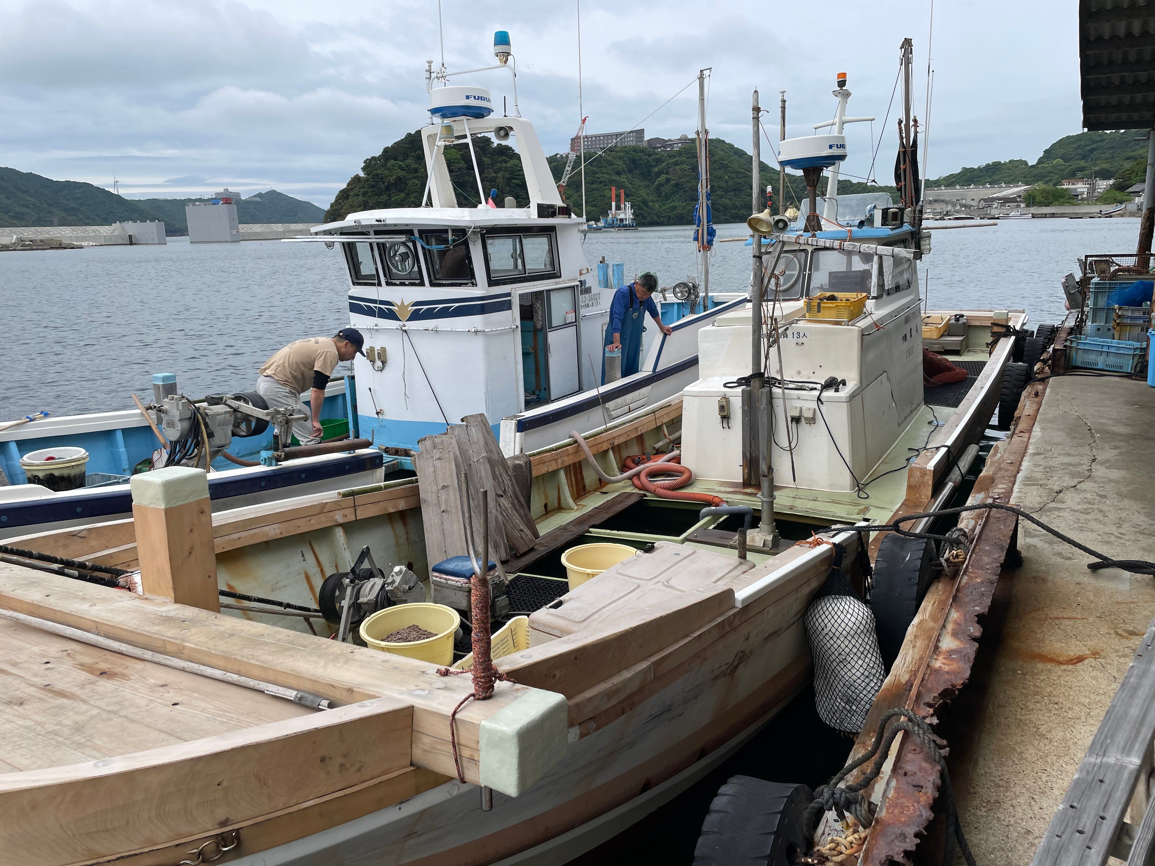 鱧を釣った船が帰ってきます