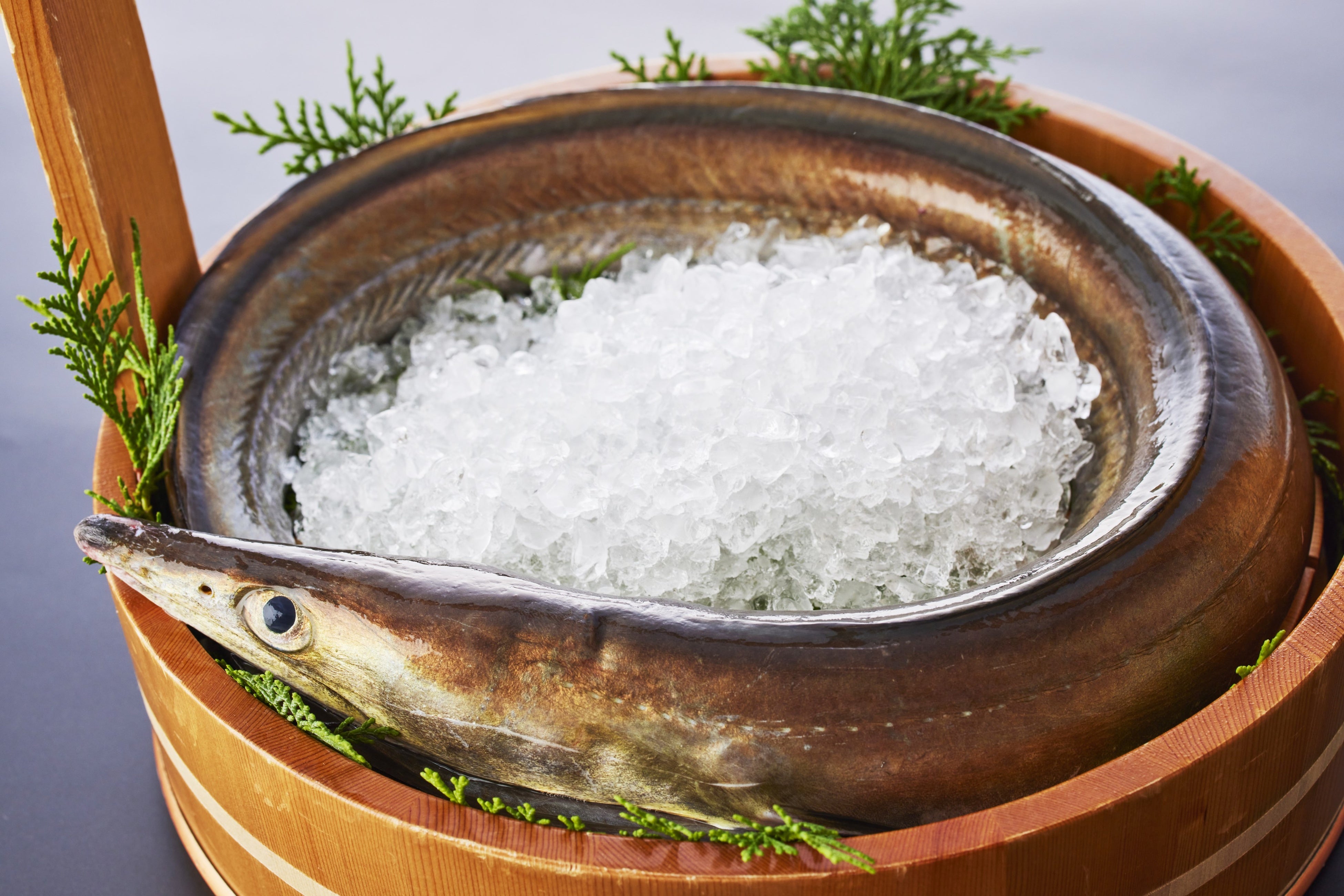 淡路島の「べっぴんハモ」