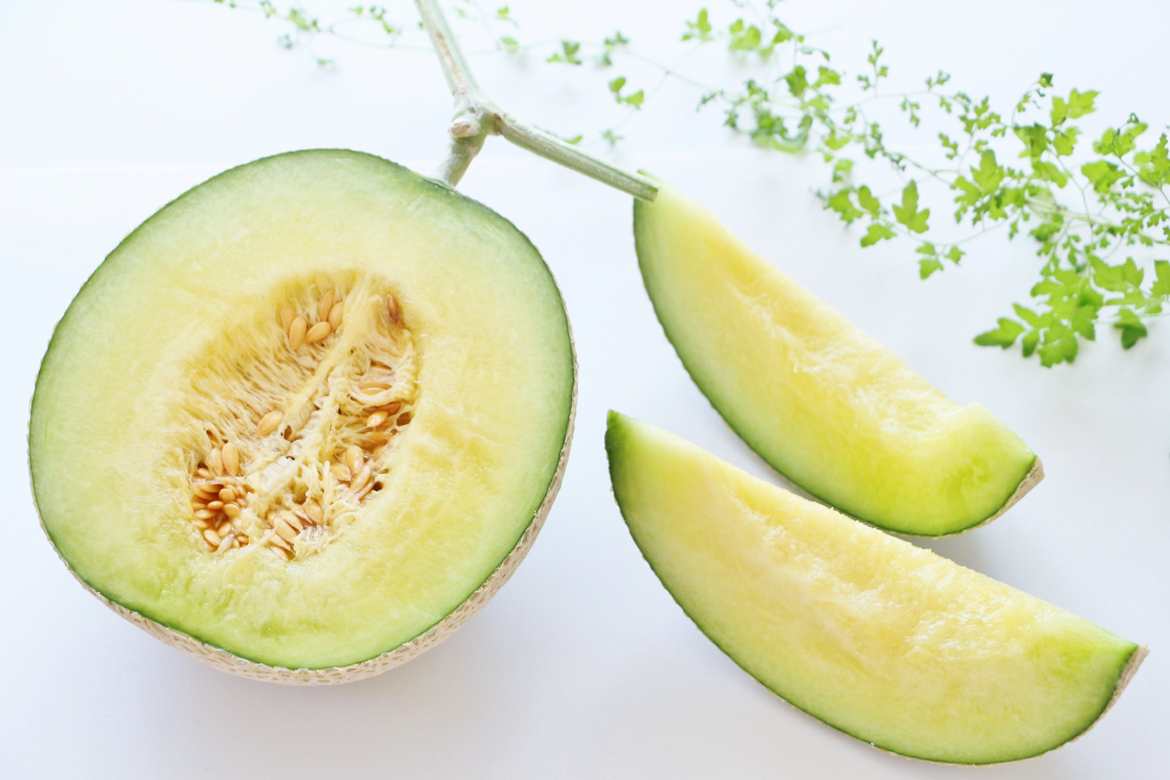 グルメdeシン・モテナス