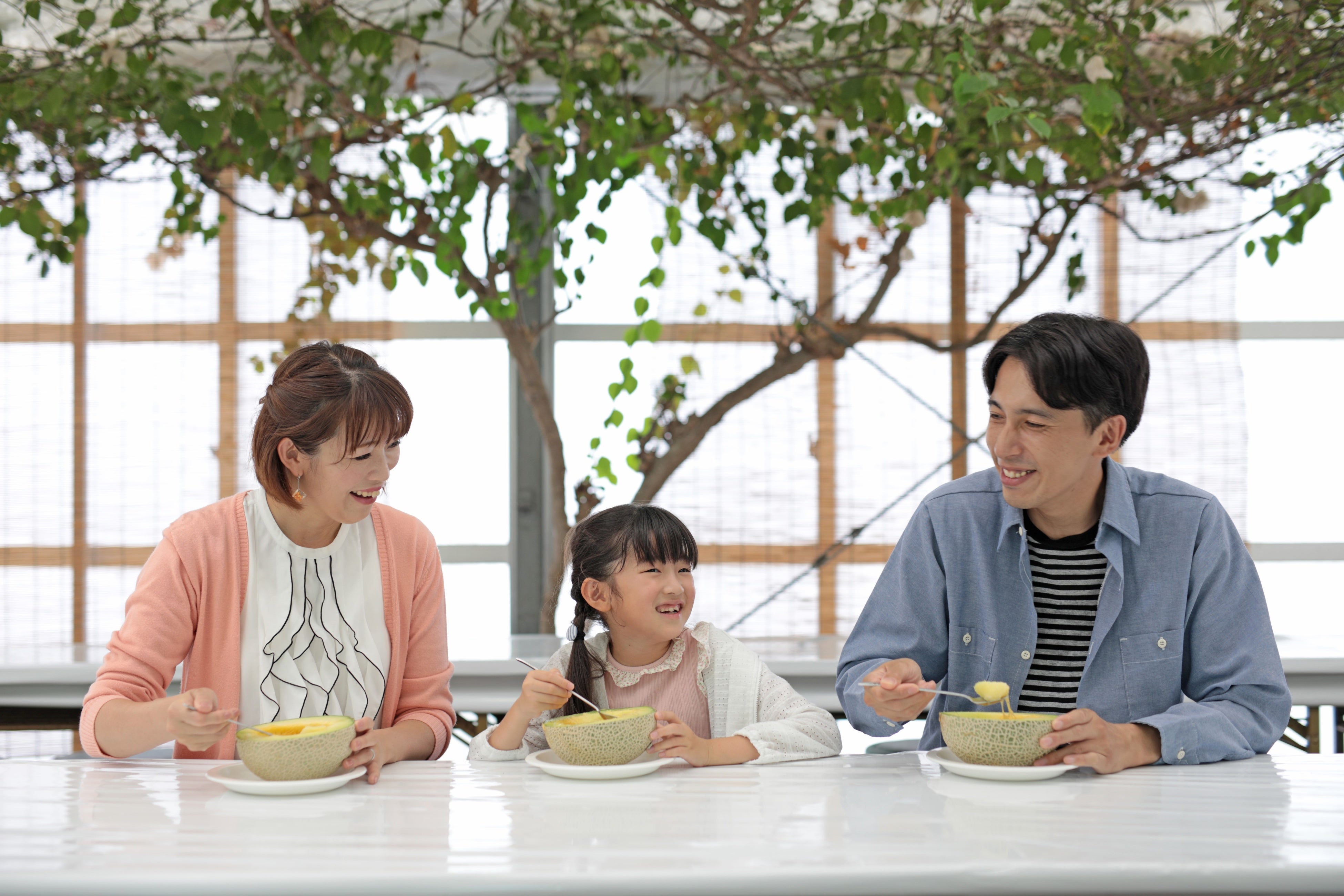 ハーフメロン付きのプランもあります