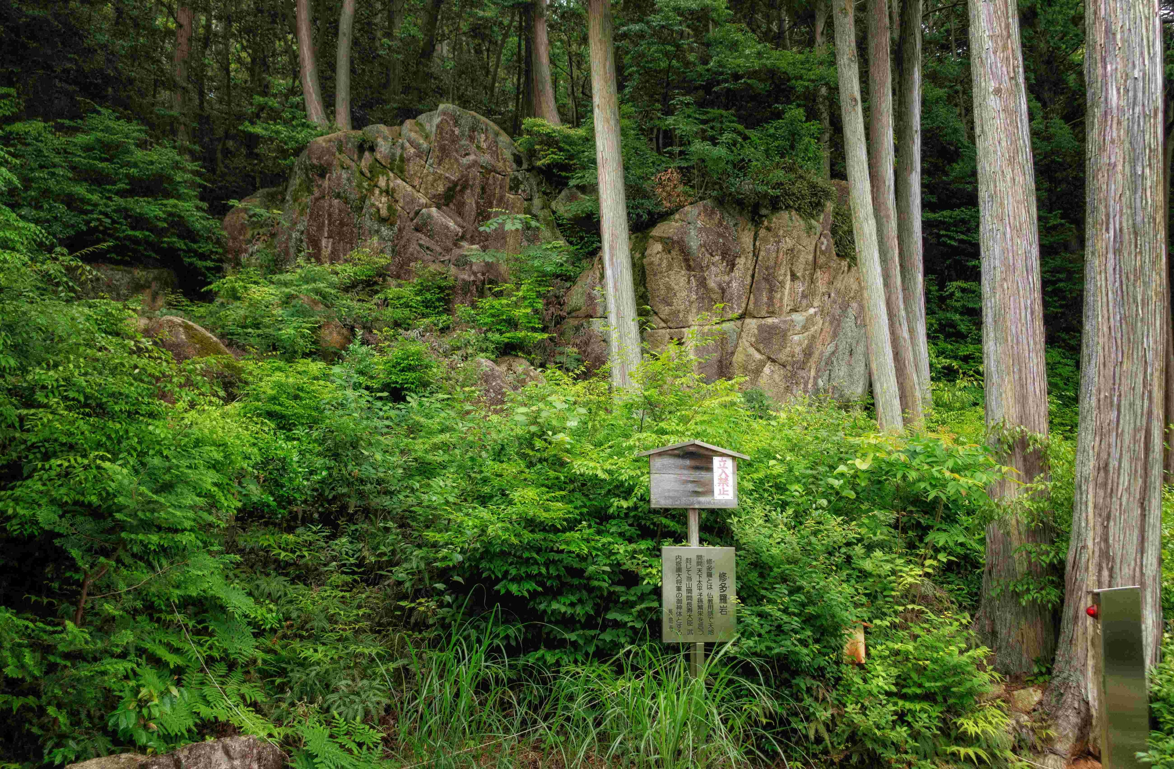 「修多羅岩（すたらいわ）」　この「修多羅岩」は、長寿を祈願して３００年以上も長生きした「武内宿禰（たけのうちのすくね＝伝承上の人物）」の御神体として信仰されています