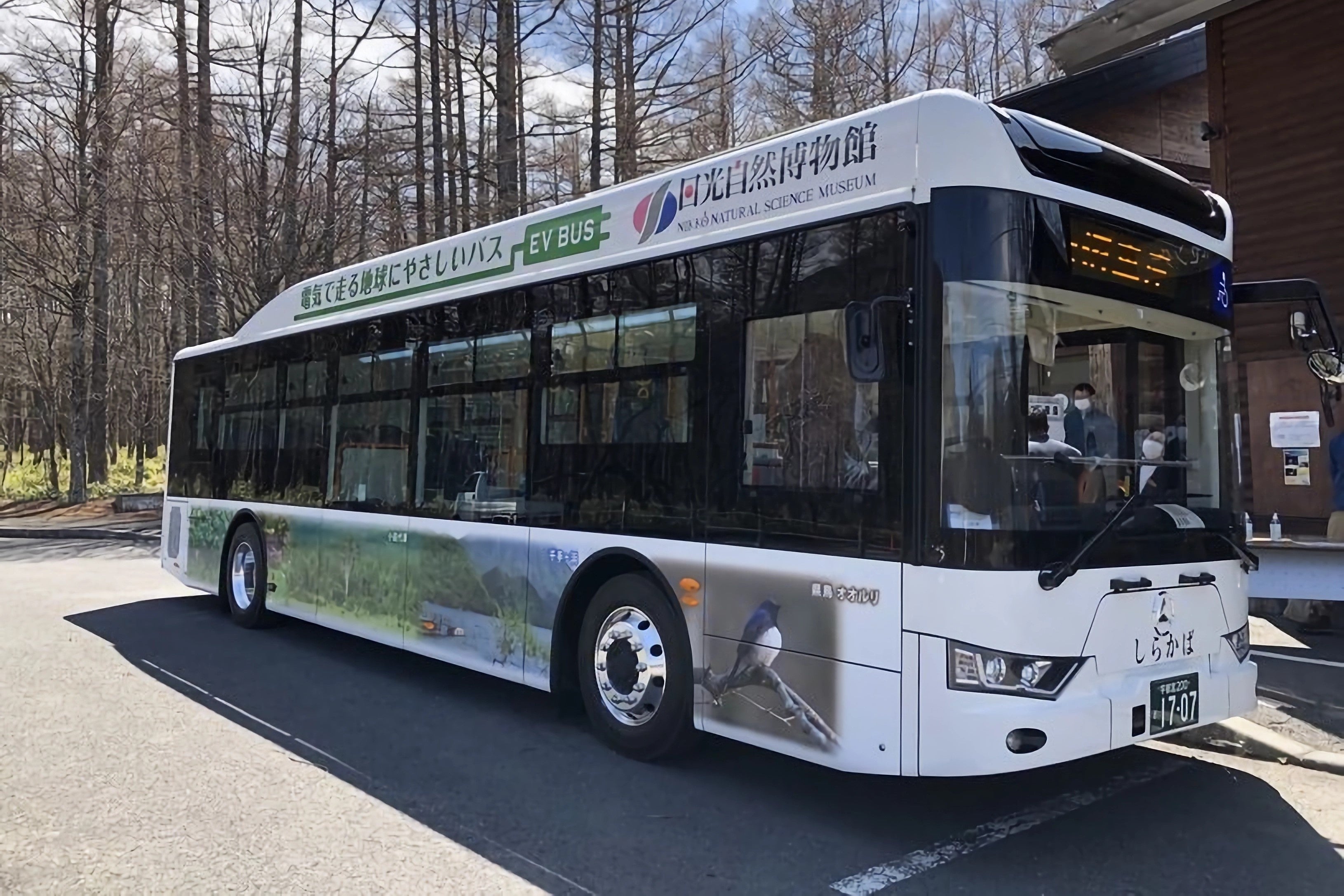 バス路線はハイキングコースと接しており、奥日光の中でも奥深い森に手軽にアクセスでます