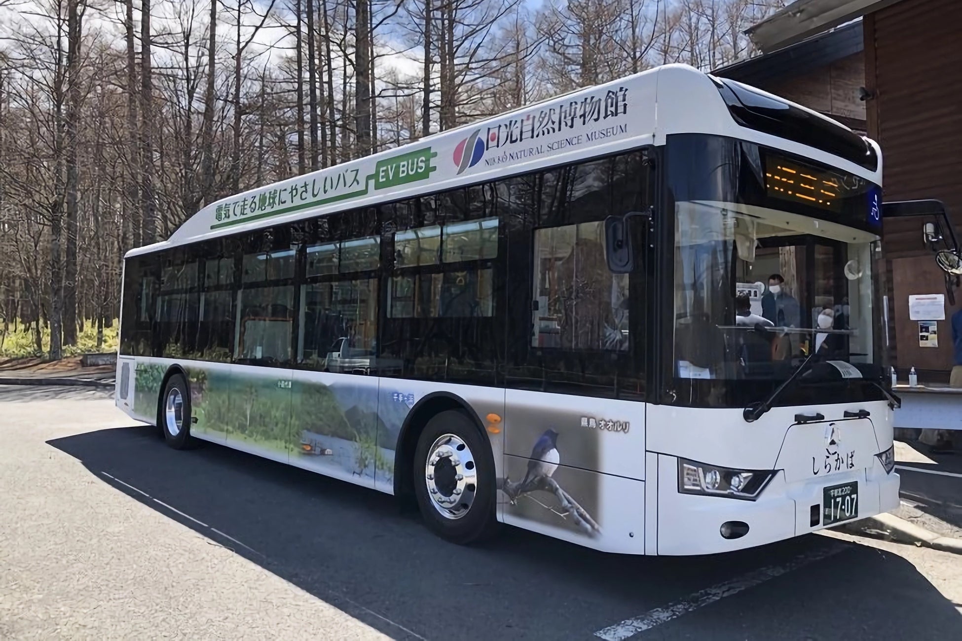 バス路線はハイキングコースと接しており、奥日光の中でも奥深い森に手軽にアクセスでます