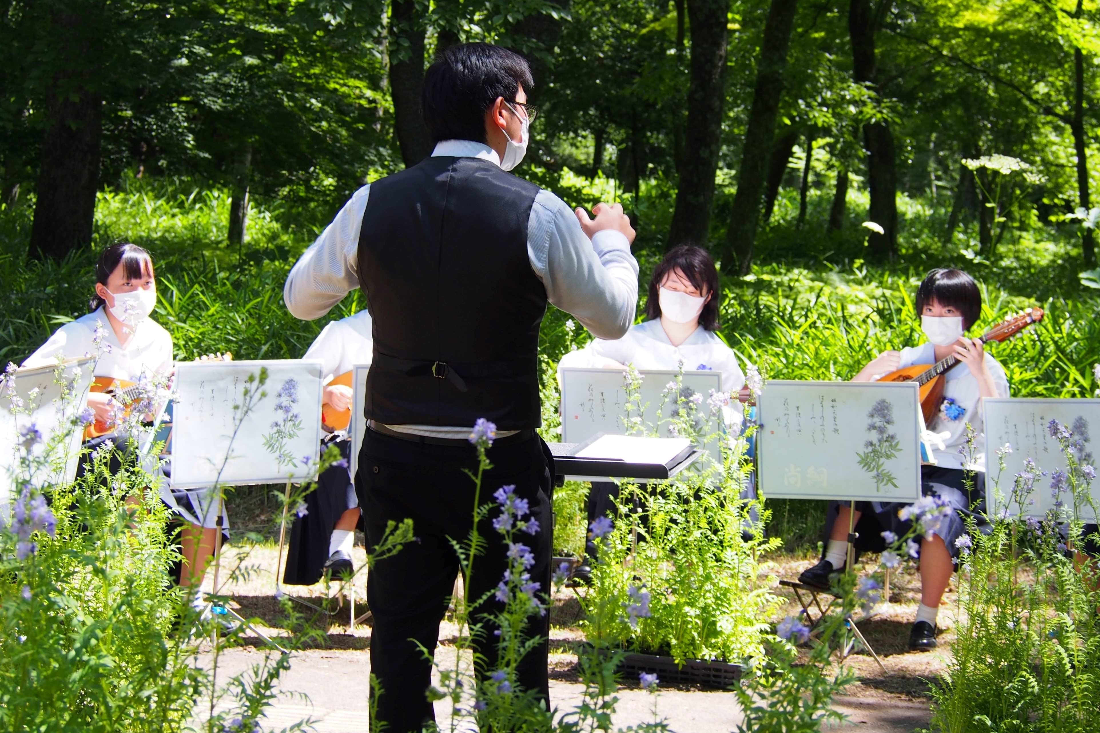 野の花コンサートの演奏風景