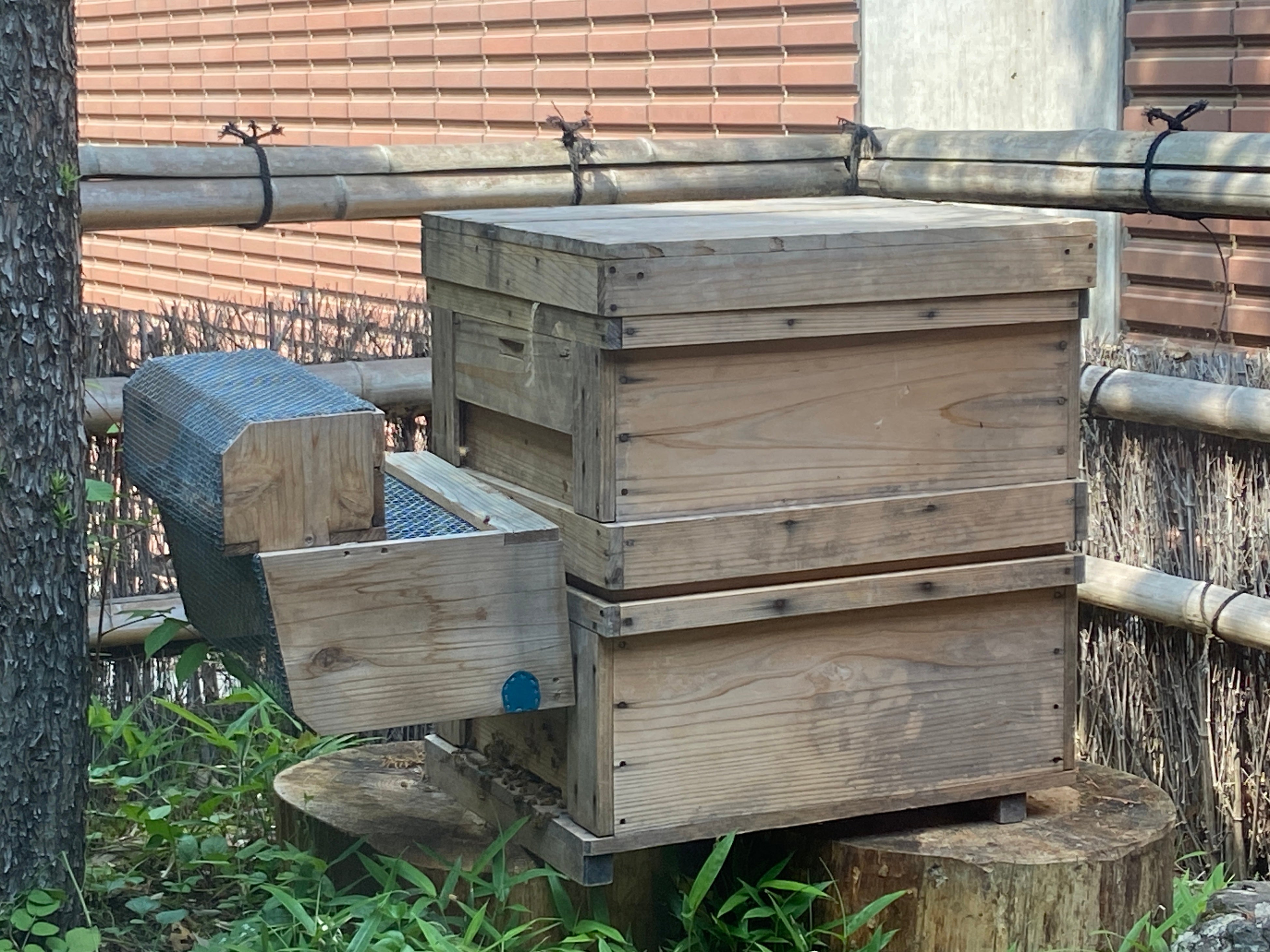 ホテルの温泉大浴場入り口、窓ガラス越しに設置された巣箱