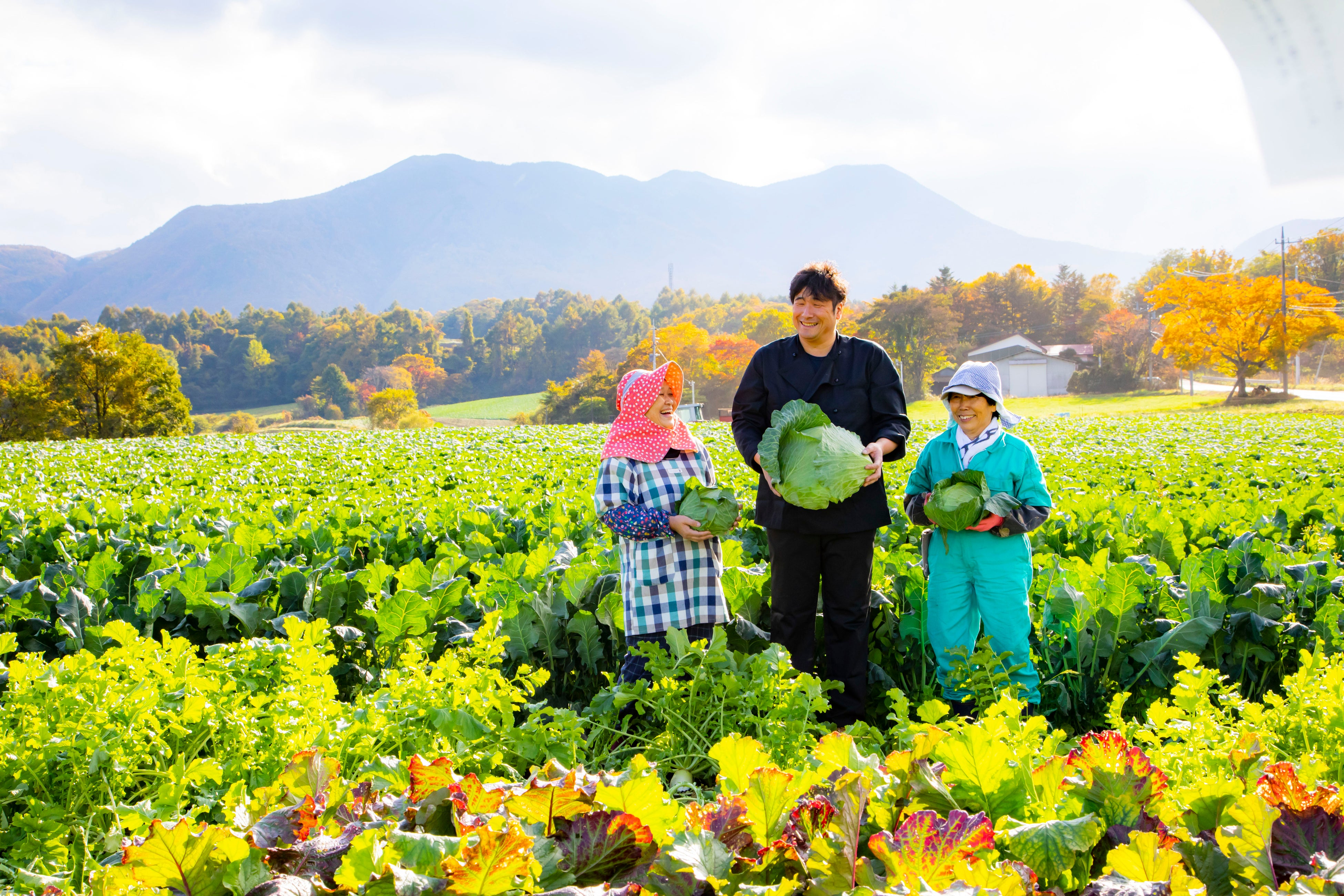 嬬恋高原の新鮮野菜
