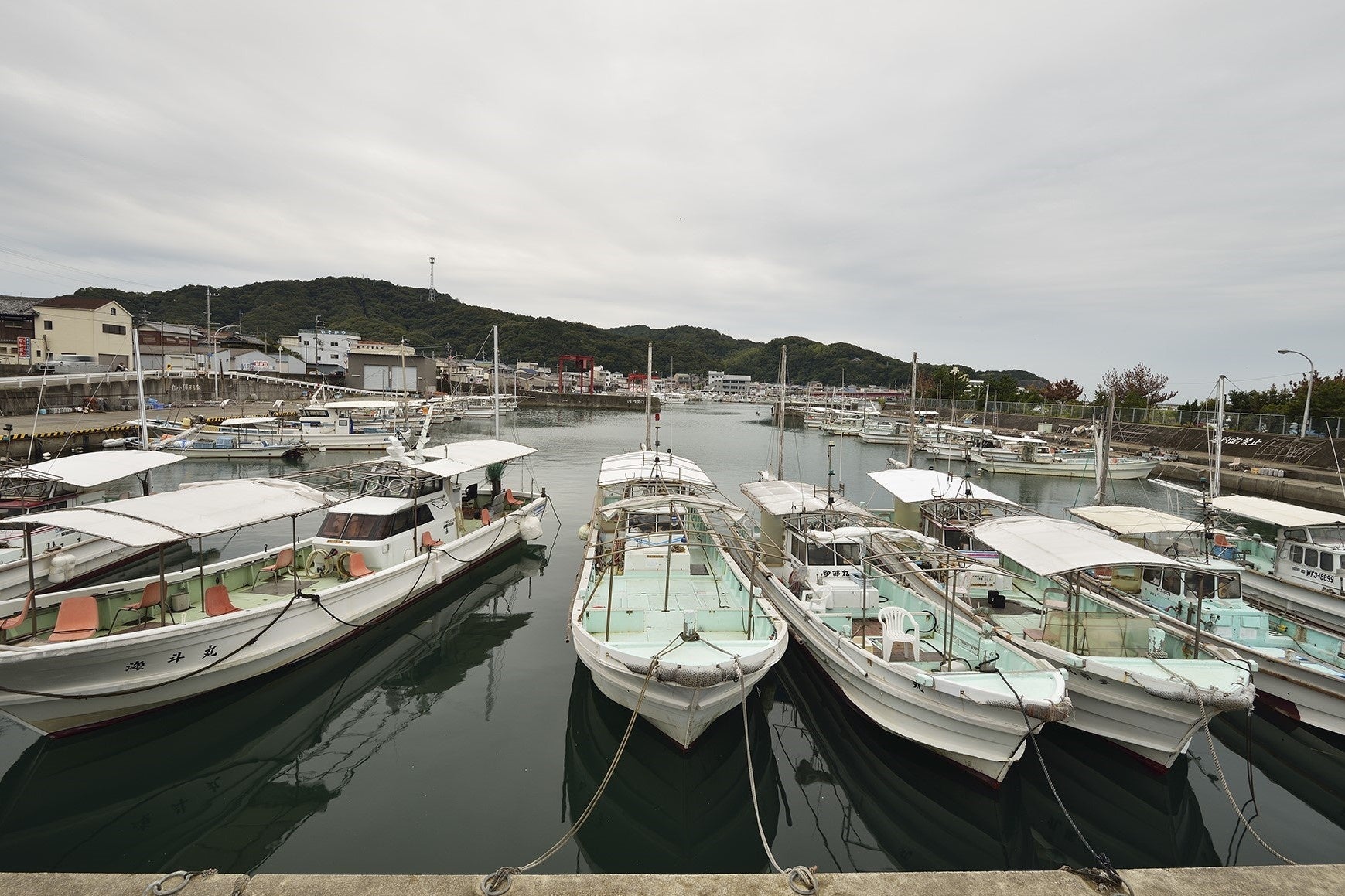 水産資源の確保及び漁獲高向上を目的として、様々な事業に取り組んでいます