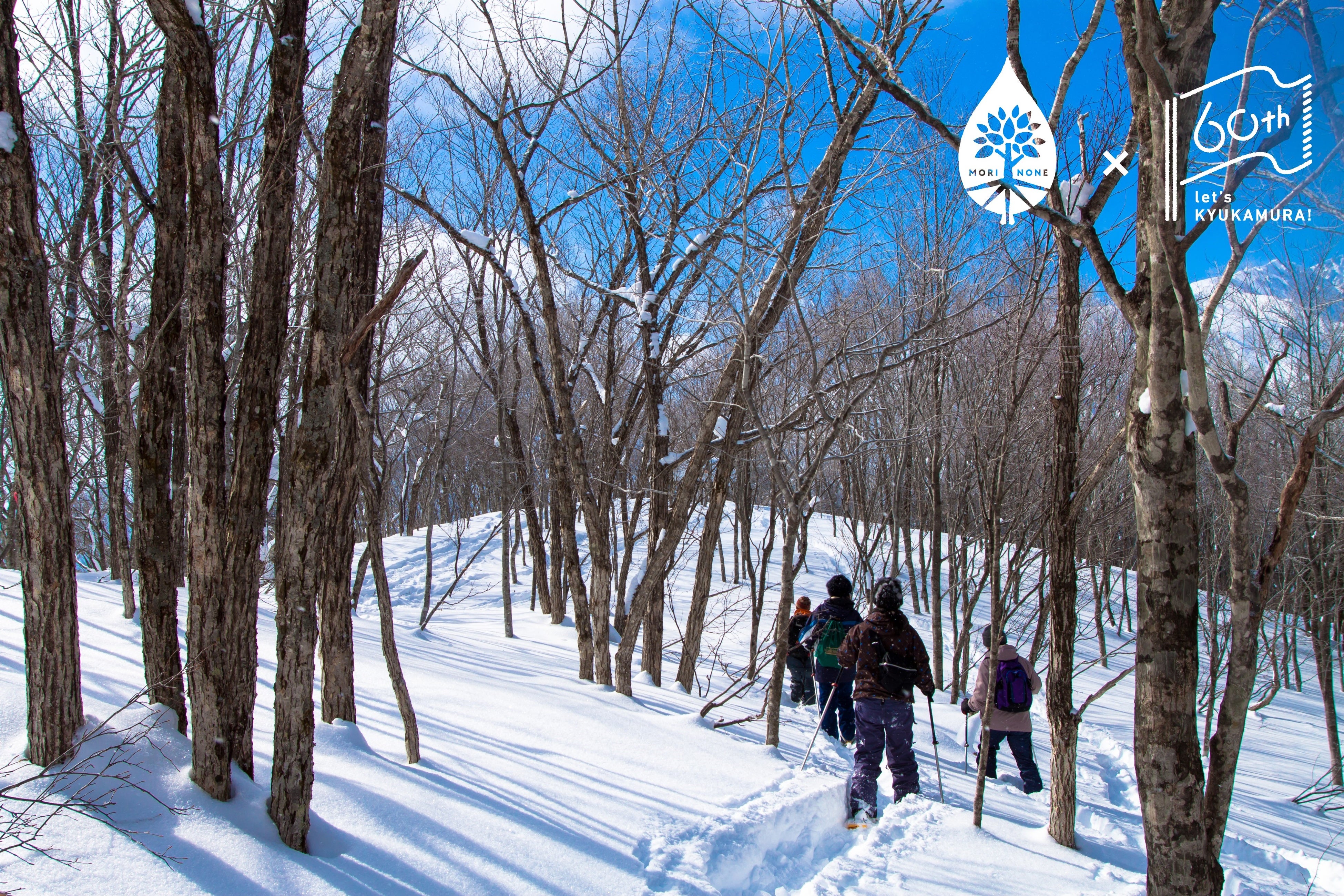 国立公園の中を、スノーシューを履いてハイキング