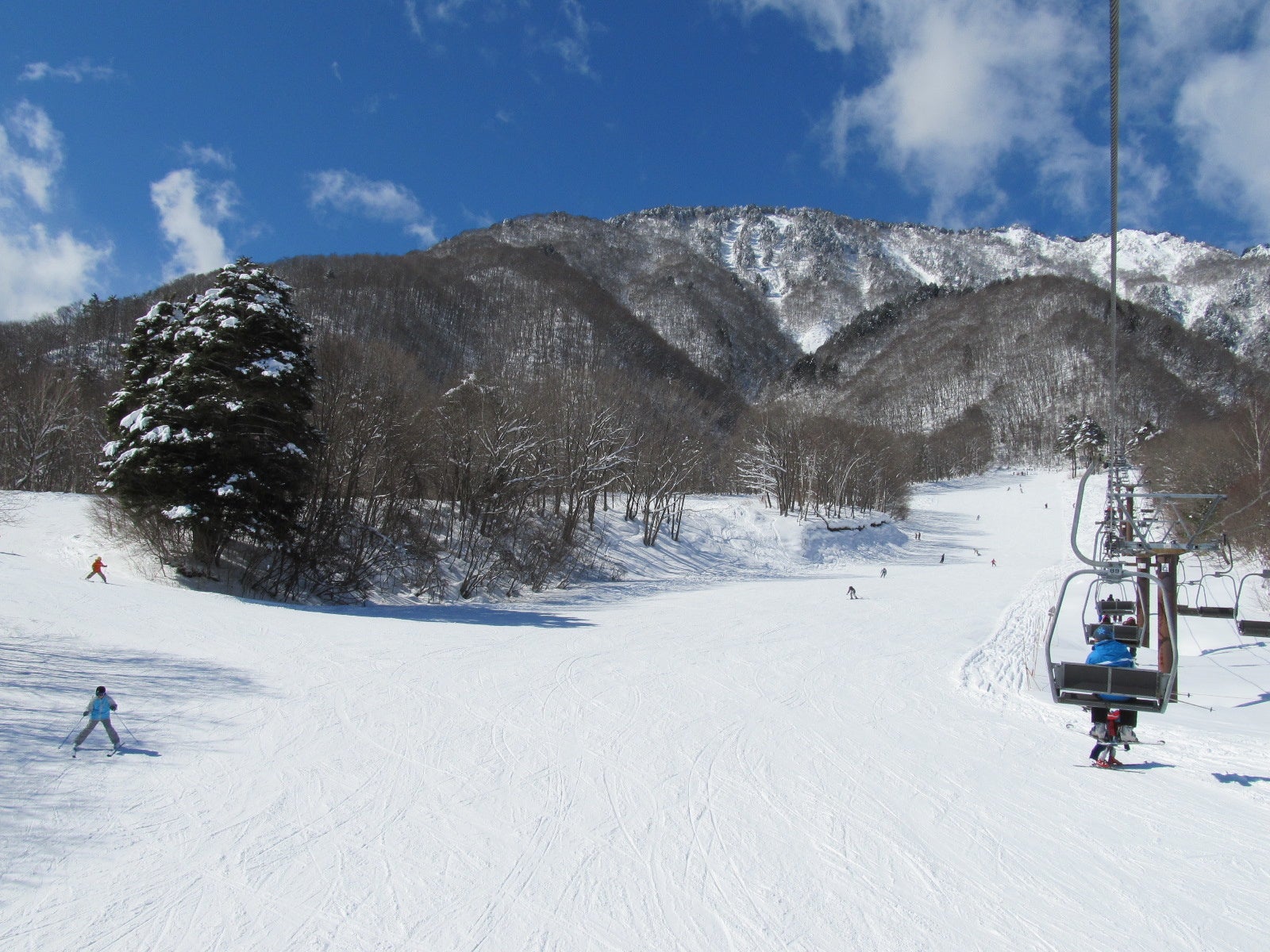 小さなお子様も安心のゲレンデ