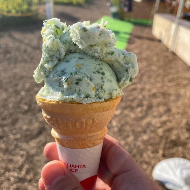 珍しい「菜の花ジェラート」など、ここでしか食べられないスイーツも豊富