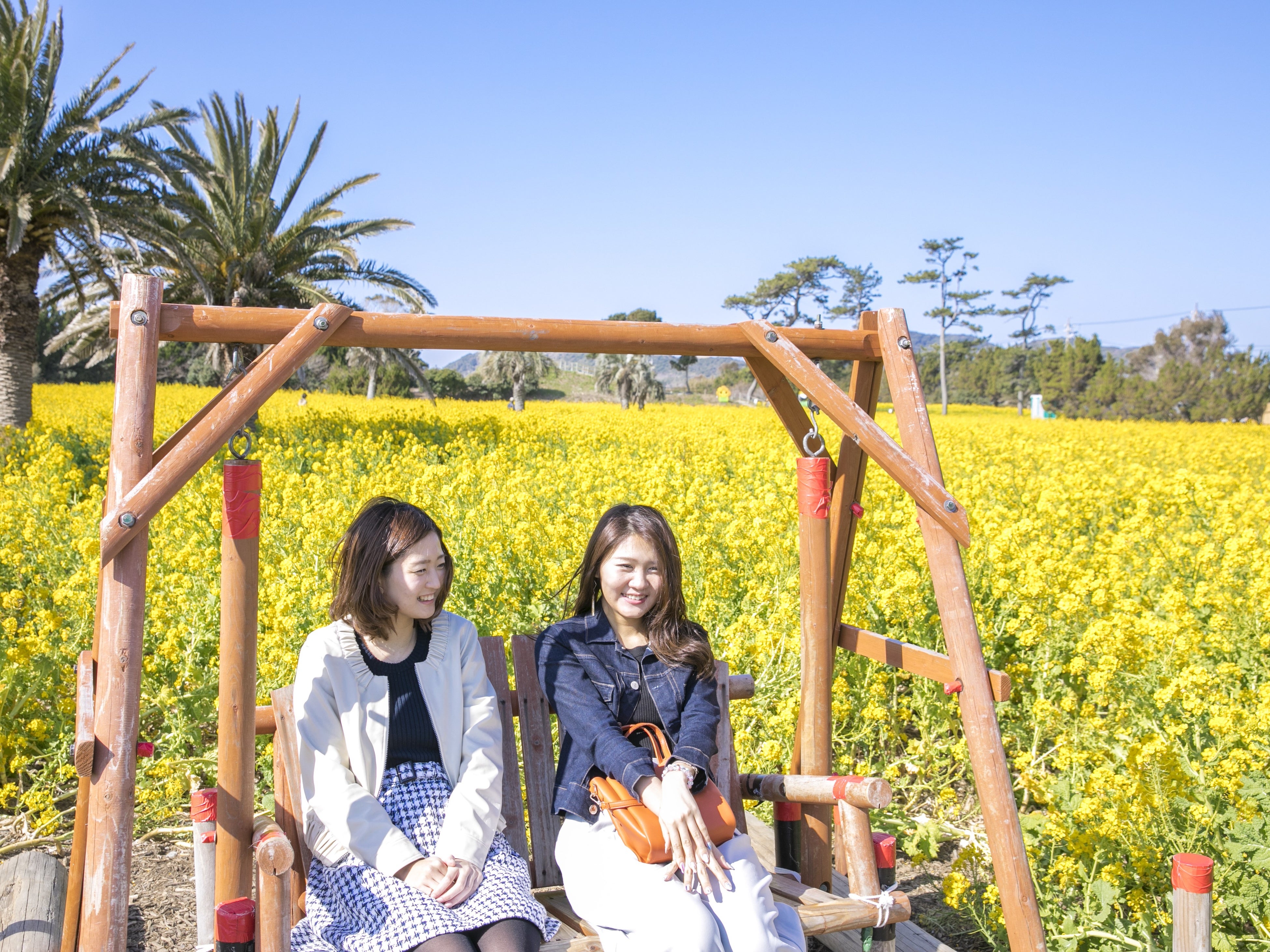 ブランコや菜の花ランウェイなどフォトスポットもたくさん