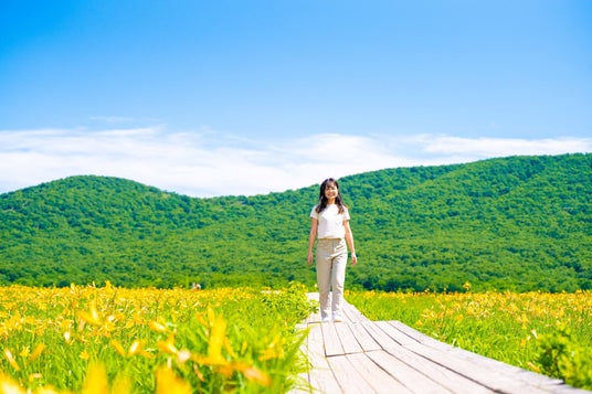 宿泊者限定・平日限定の無料送迎で快適アクセス! 黄金の湿原「雄国沼」6月下旬から7月上旬が見ごろ ニッコウキスゲ咲き誇る季節、休暇村裏磐梯から雄子沢登山口へ直行 宿泊者限定・平日限定の無料送迎で快適アクセス! 黄金の湿原「雄国沼」6月下旬から7月上旬が見ごろ ニッコウキスゲ咲き誇る季節、休暇村裏磐梯から雄子沢登山口へ直行