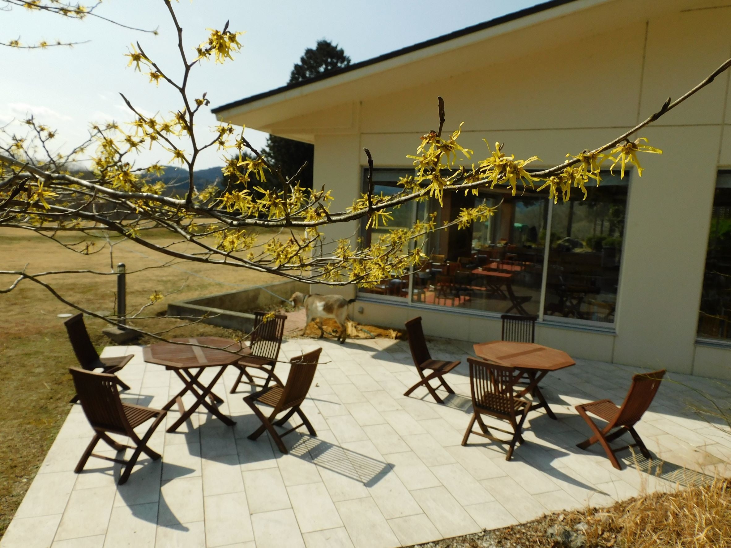 テラスのイスに座ってのんびり眺めることもできます