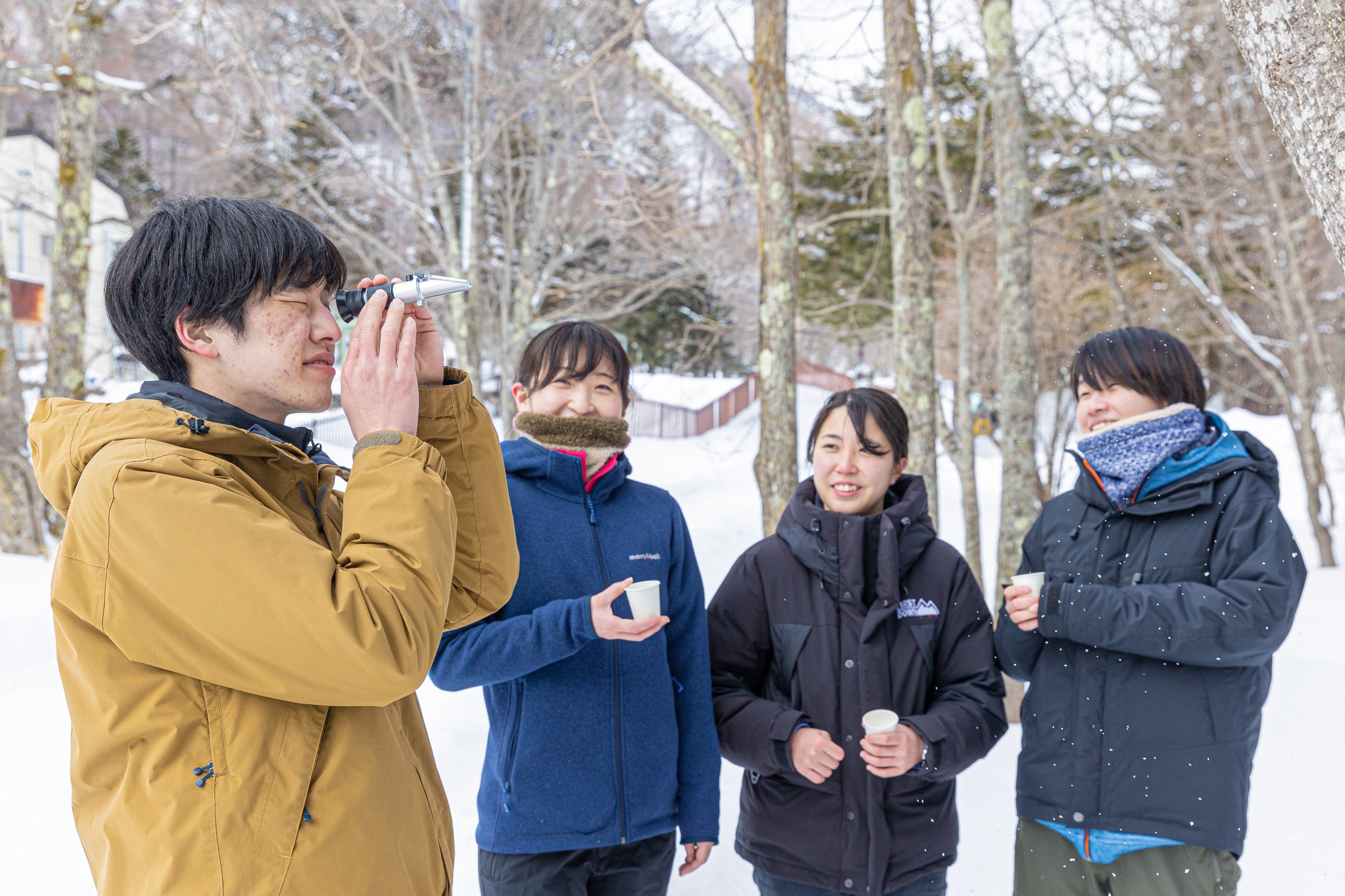 樹液の糖度を糖度計で確認