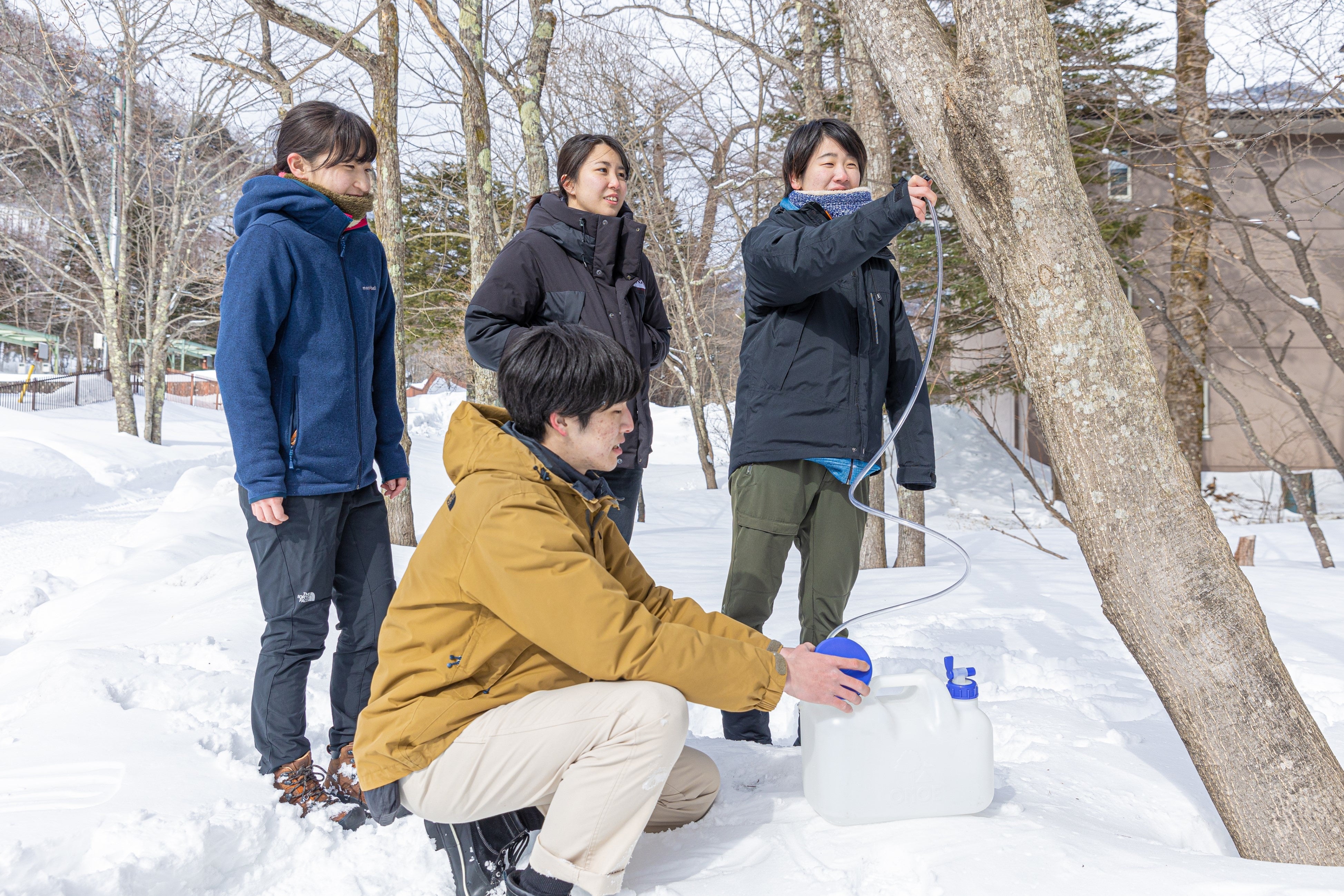 カエデの木から樹液を採取「森の恵み体験」