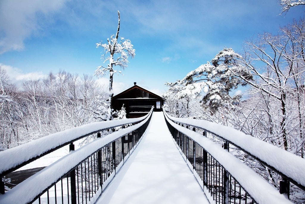 人と自然をつなぐ鹿沢インフォメーションセンターの雪景色
