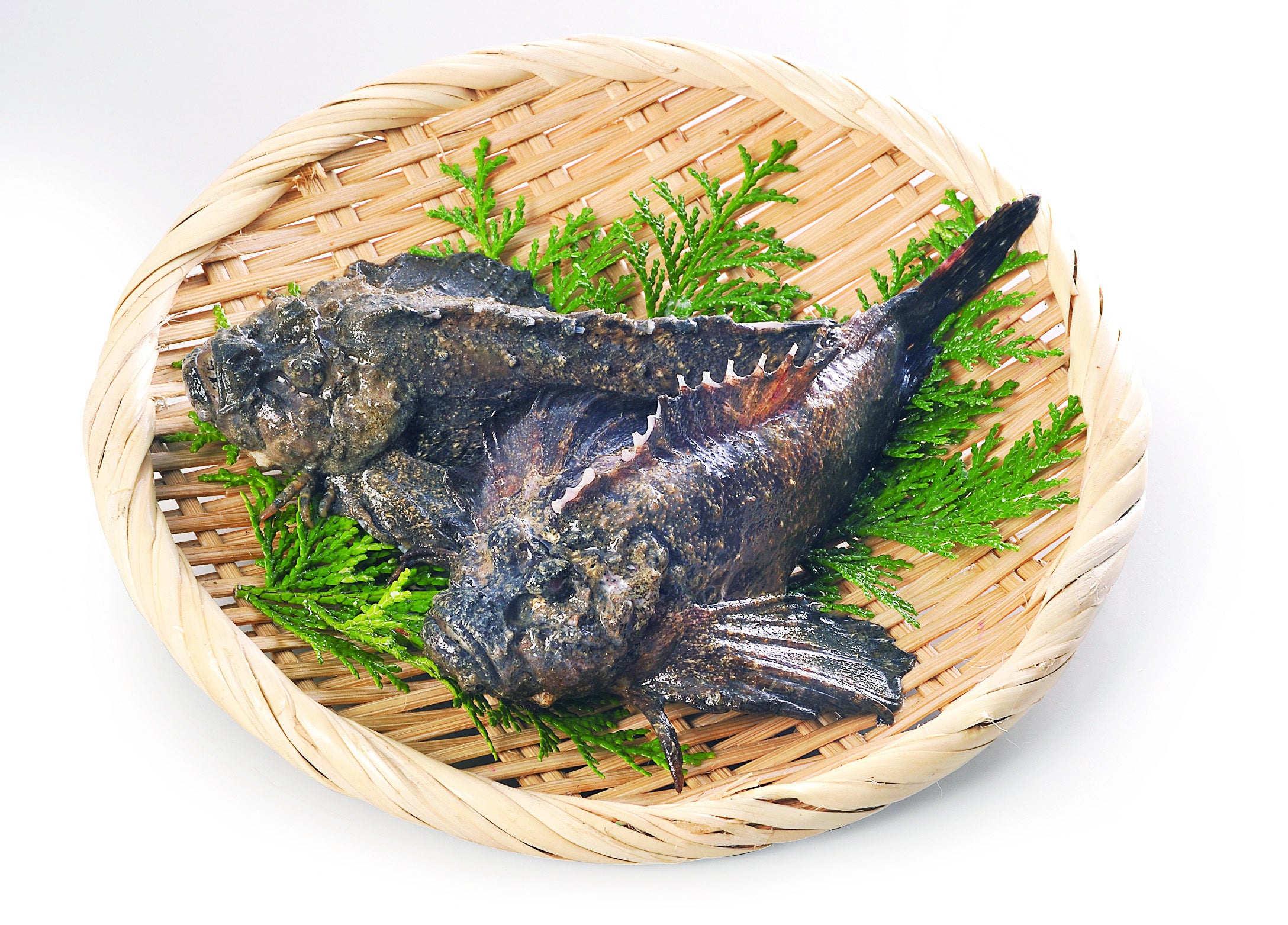 画像：かがわ県産品振興機構