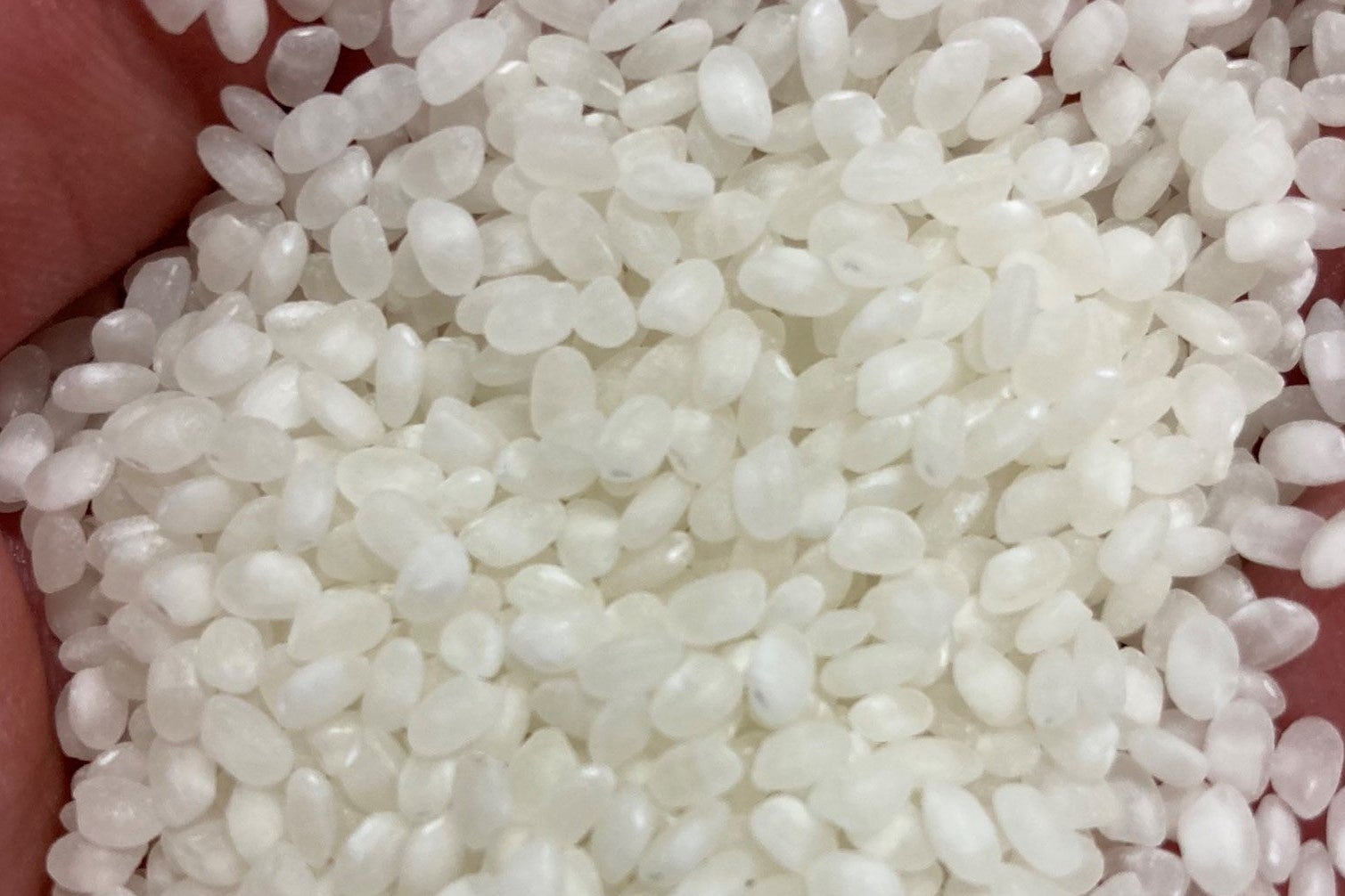 地元の名水とお米にこだわった酒造り