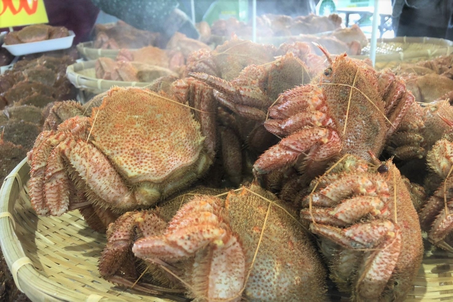 三陸毛ガニの繊細な甘さが引き立つ姿茹でがおすすめ