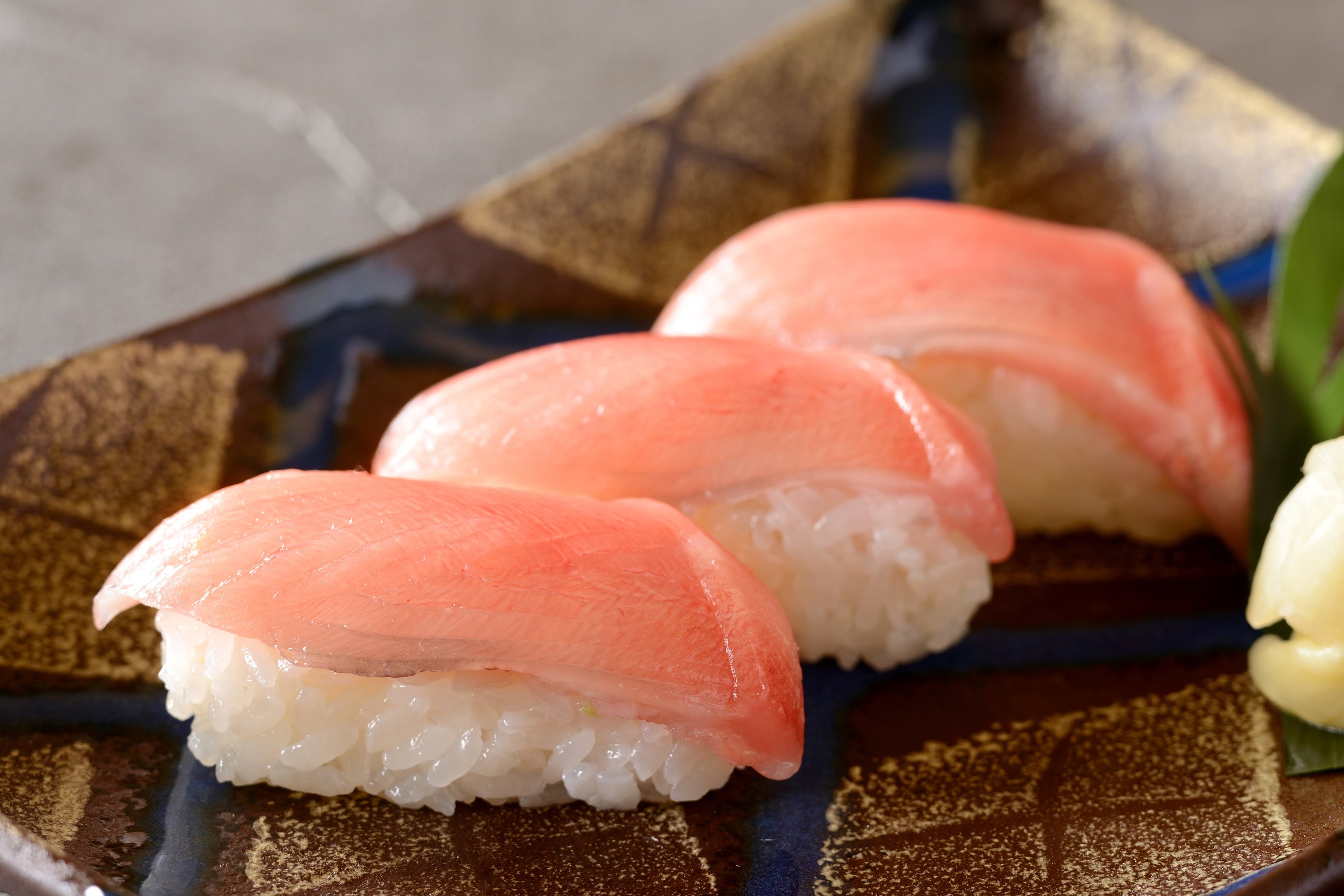 高級魚「媛スマ」の握り寿司