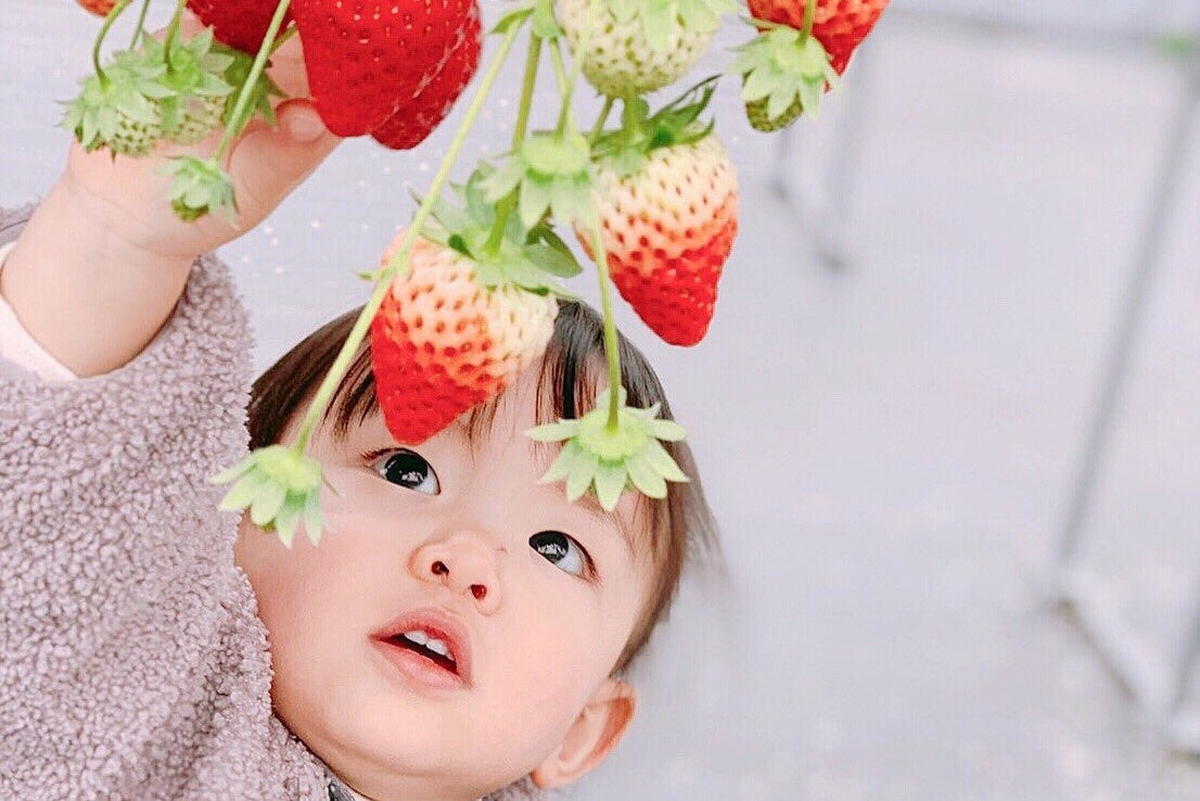 「ボンガーデン」は車いす・ベビーカーもOKです