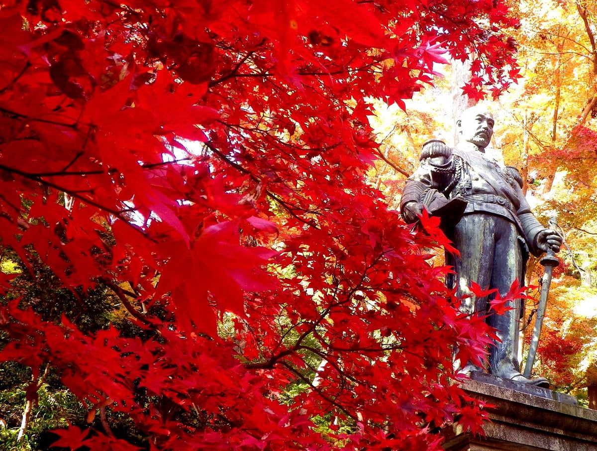 飯能の紅葉名所「東郷公園」へ、休暇村奥武蔵が宿泊者向けに期間限定の送迎バスを運行