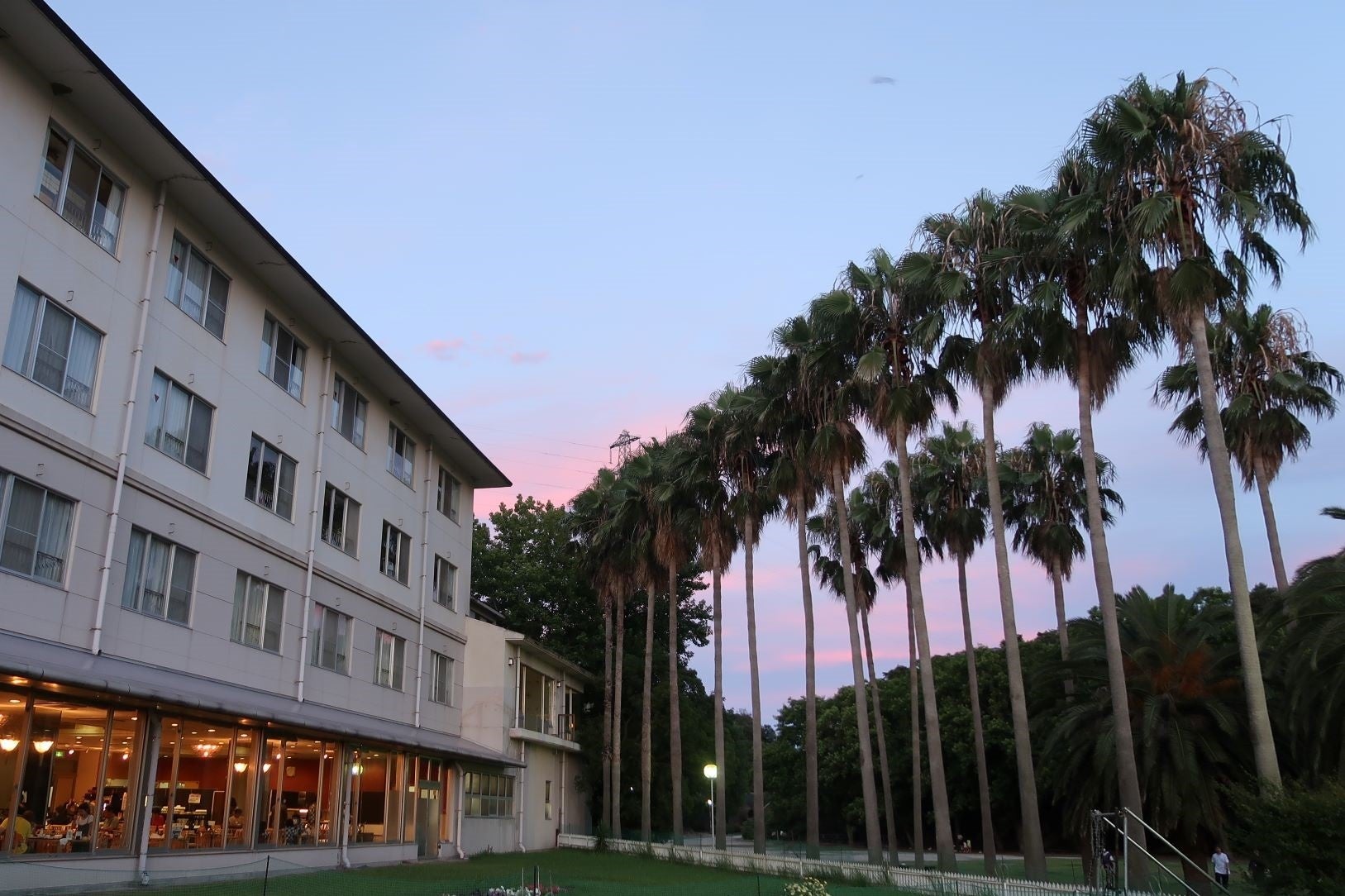 ヤシの木やソテツなどに囲まれたリゾート