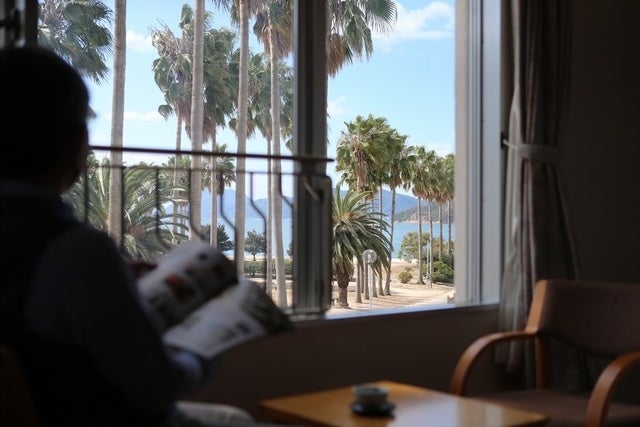 客室からもヤシの木越しに海を望めます