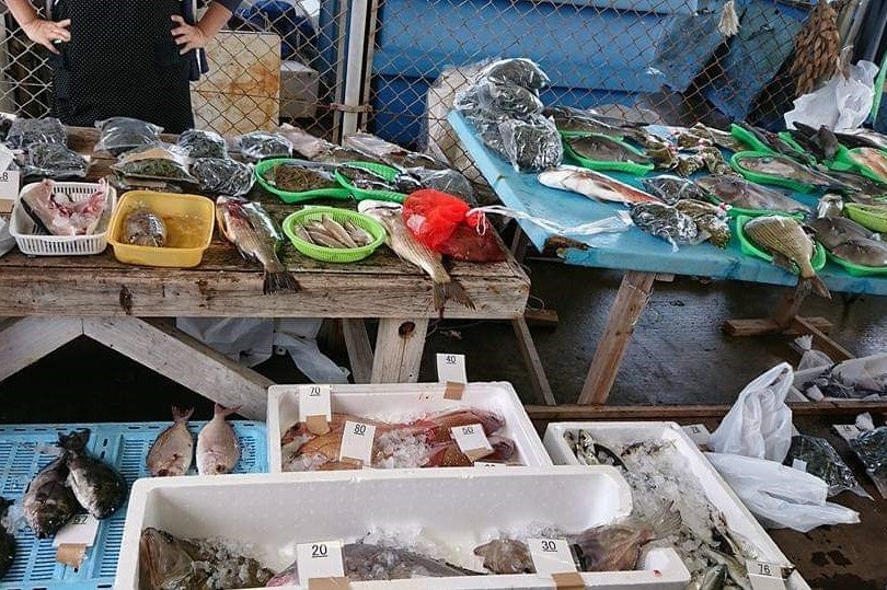 活きた魚種が豊富な人気の弘の夕市