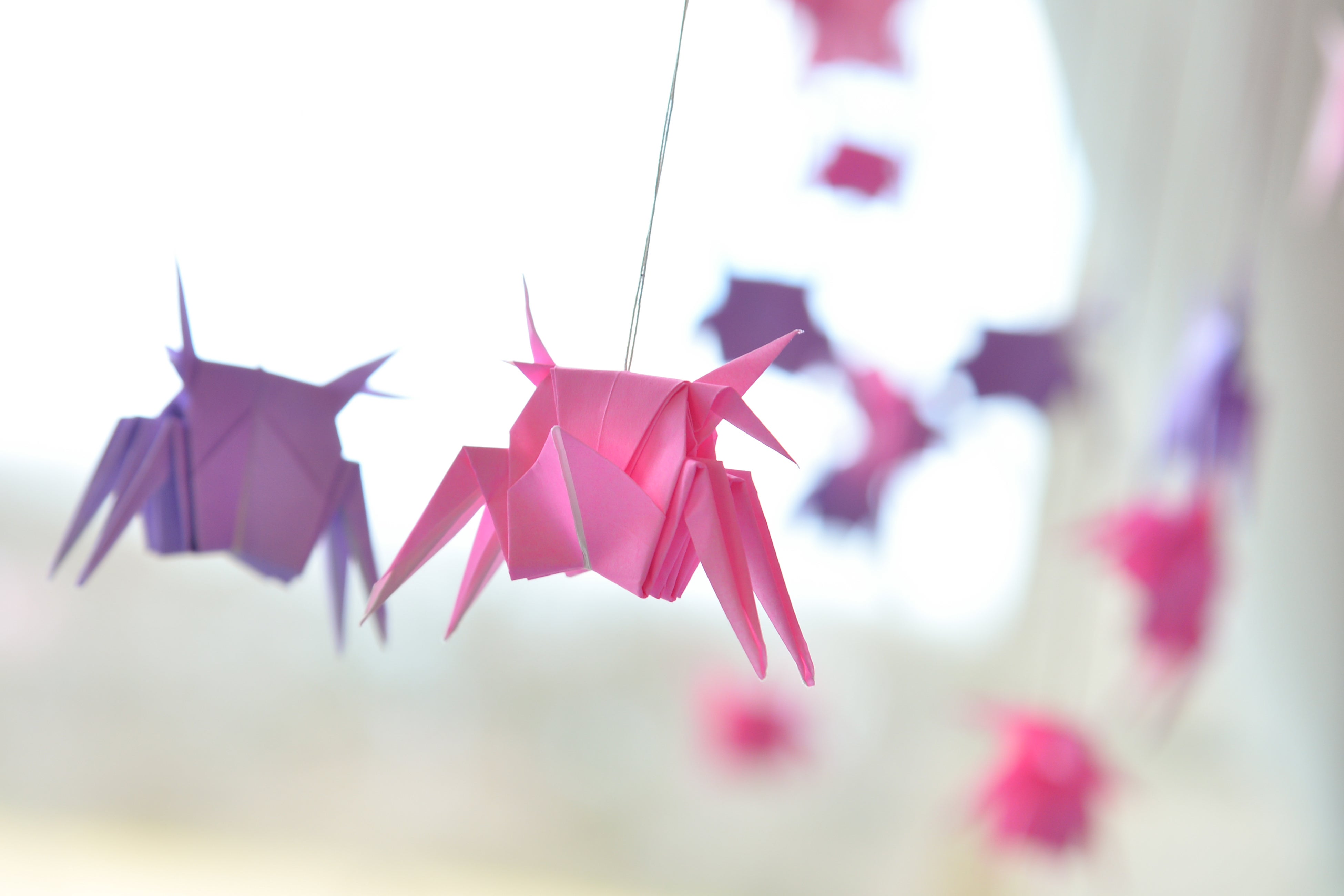 「カニざくら」のカニ