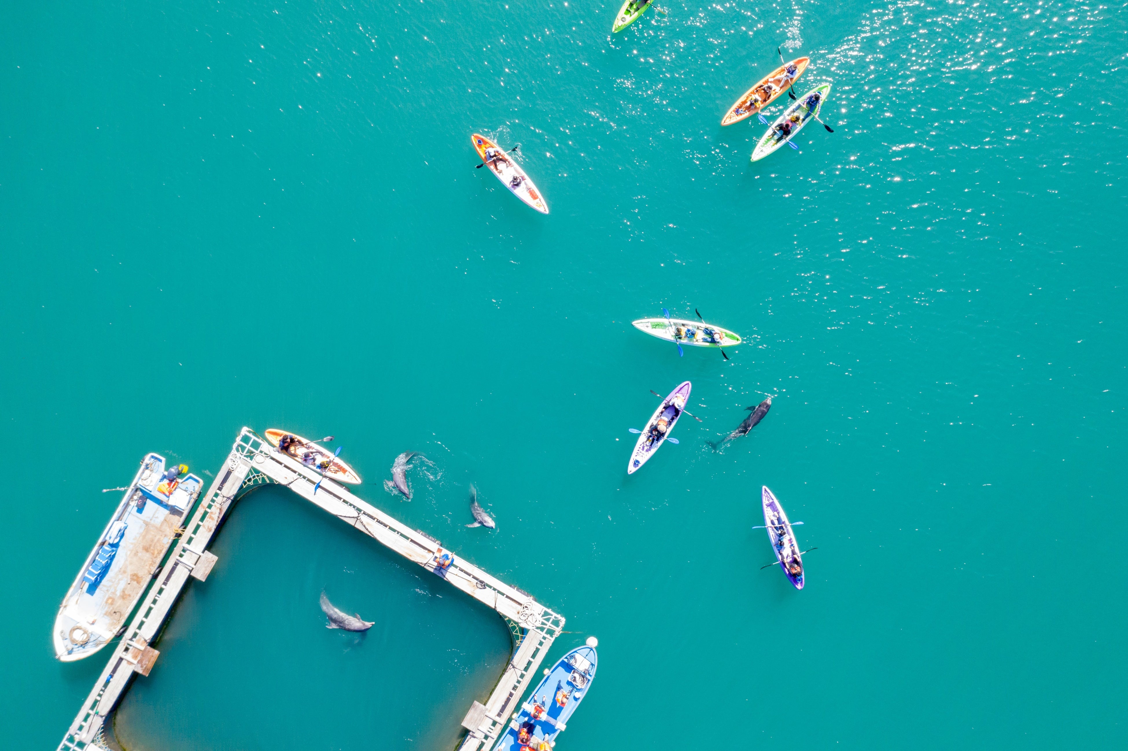 太地町フィールドカヤック