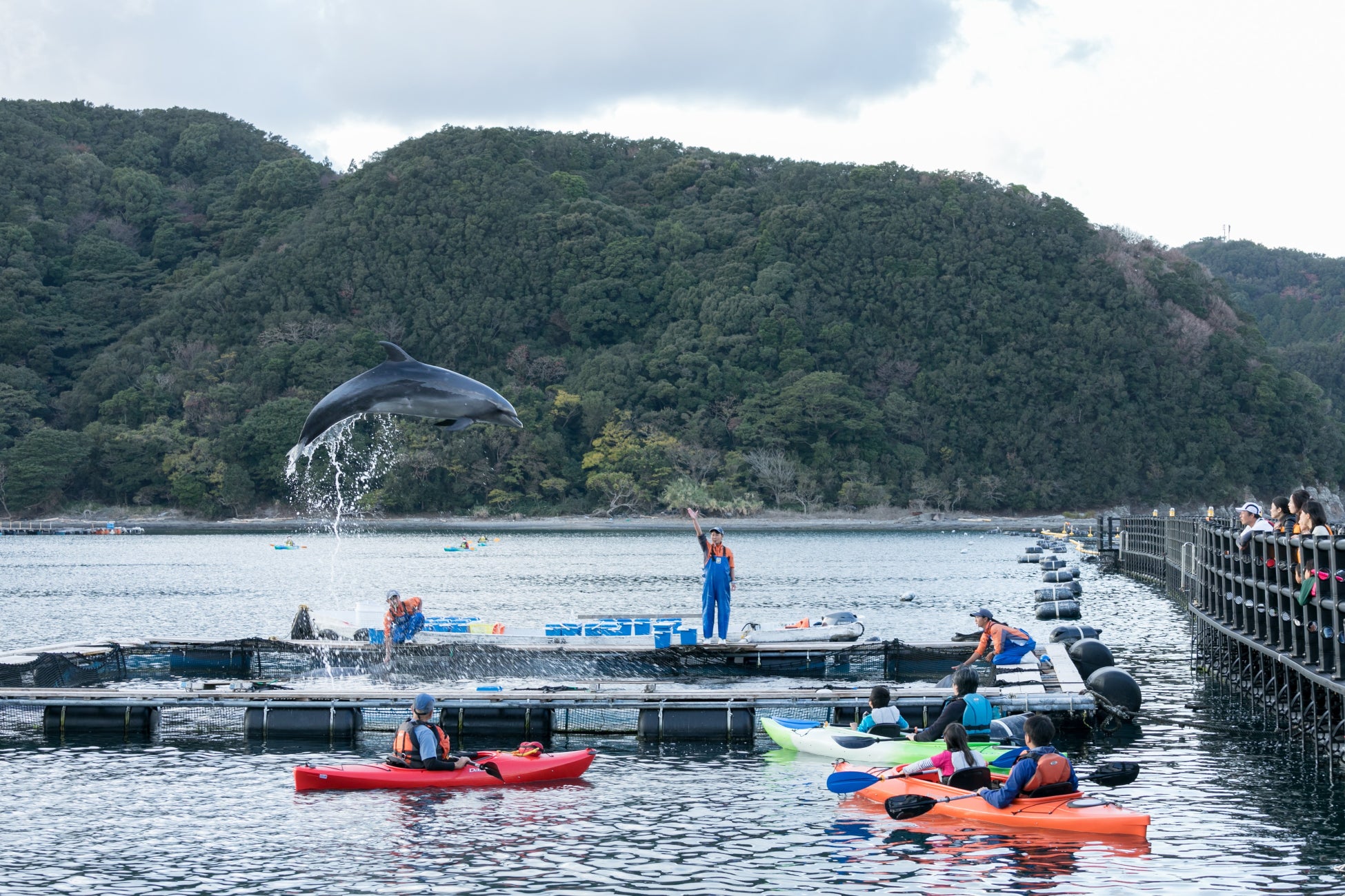 シーカヤック体験